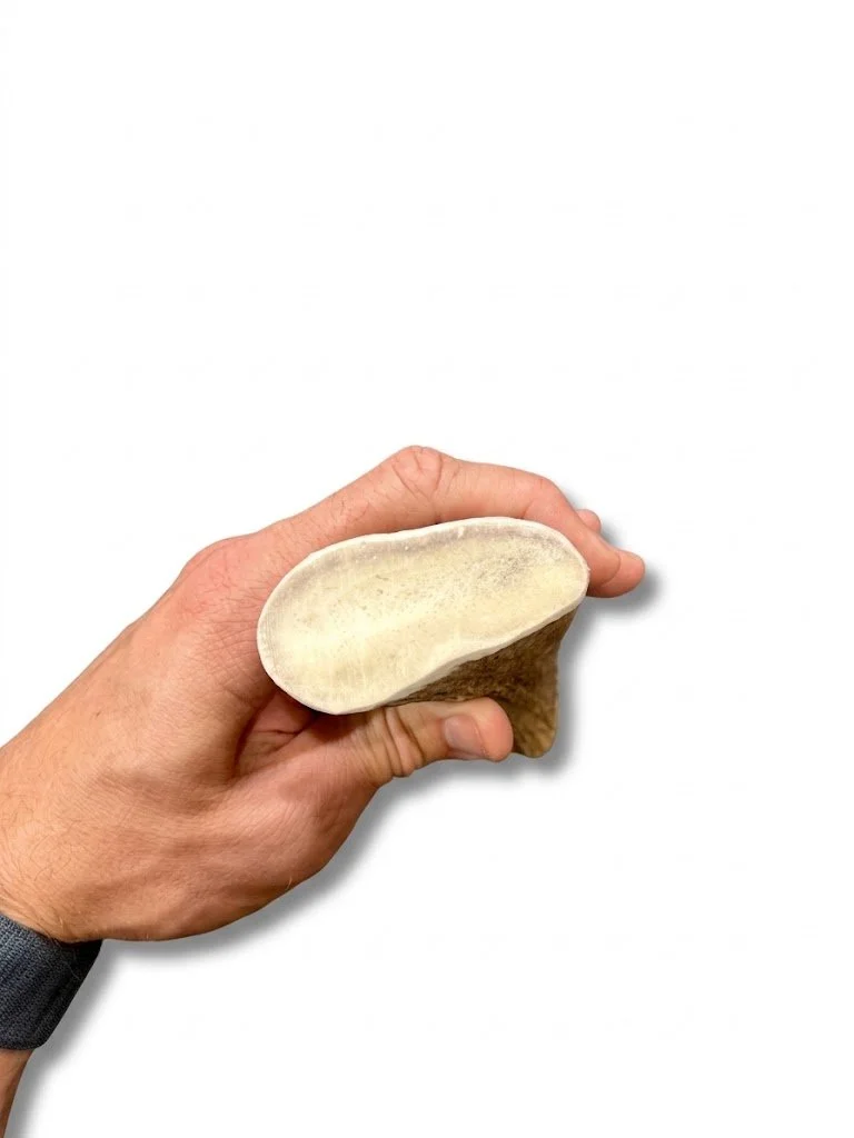 cce4611481006602895864.jpg