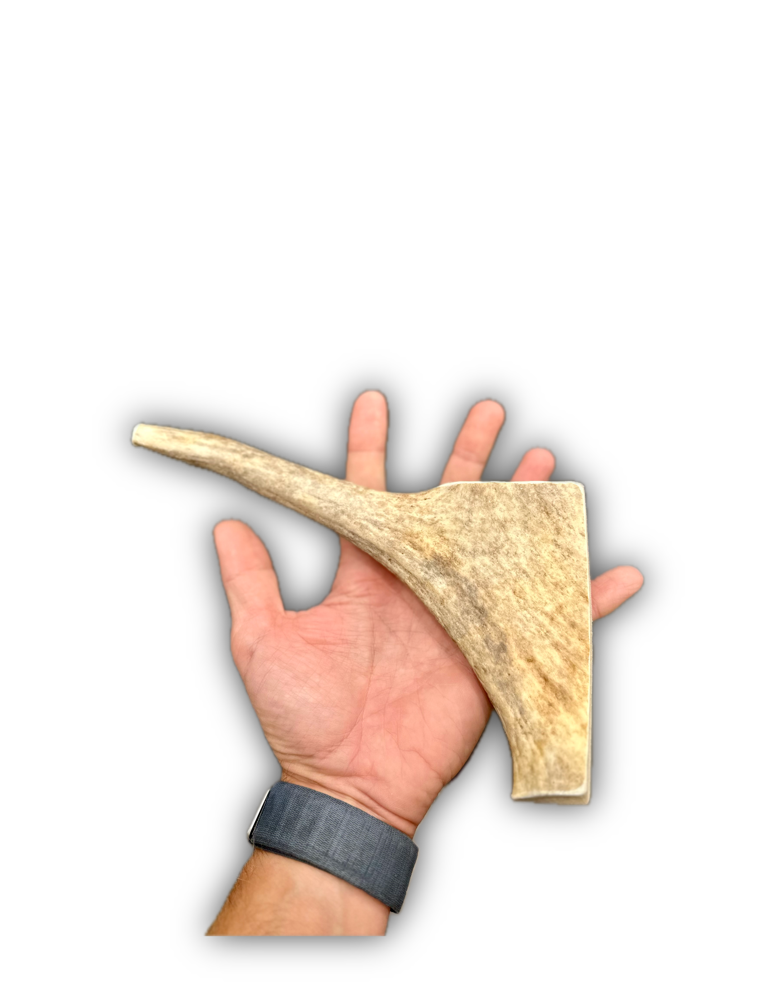 IMG_6934 Background Removed-shadow.png