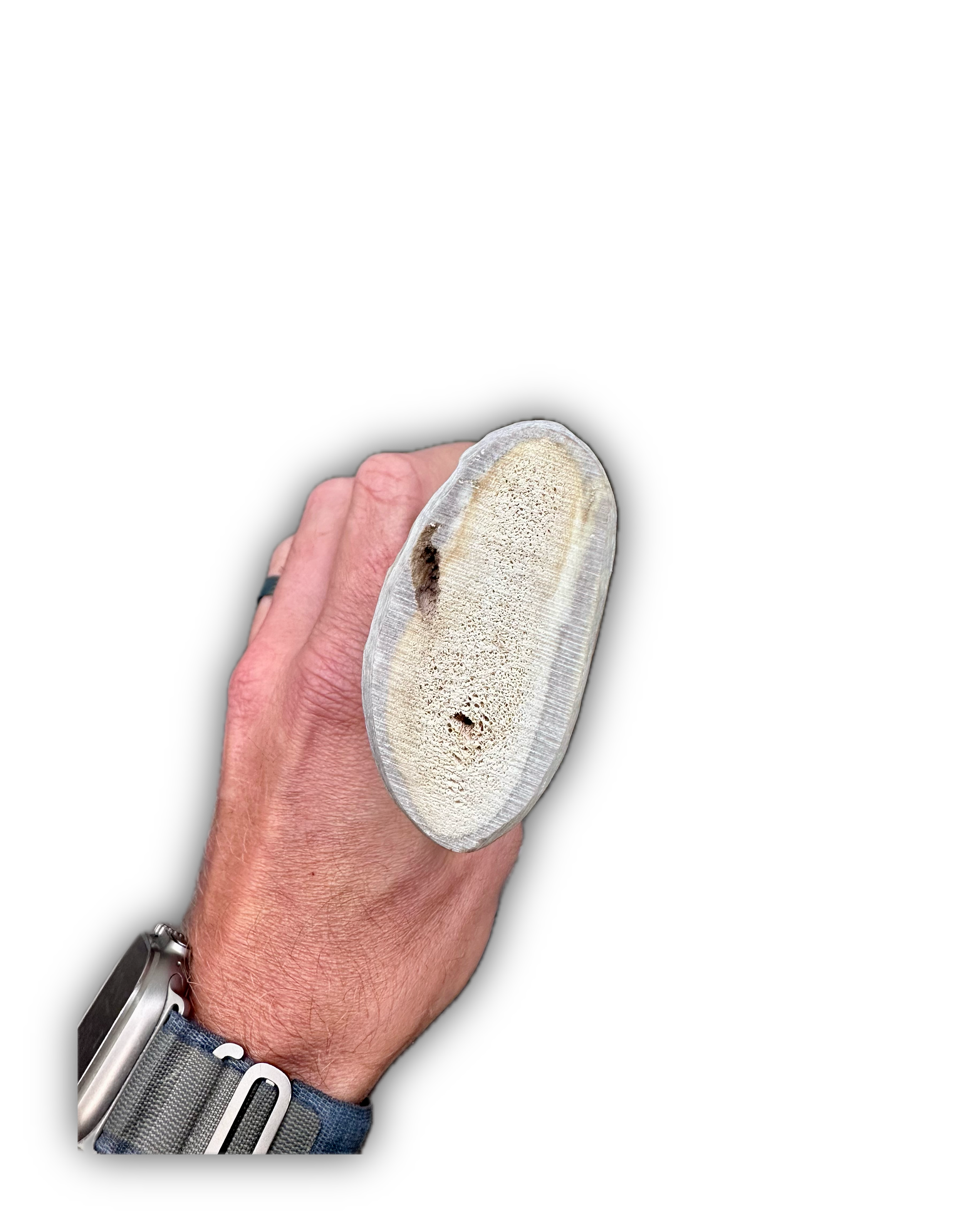 IMG_6995 Background Removed-shadow.png