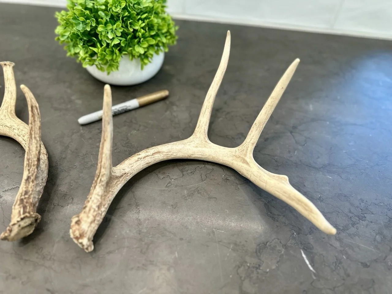 IMG_4363 2 Large.jpeg