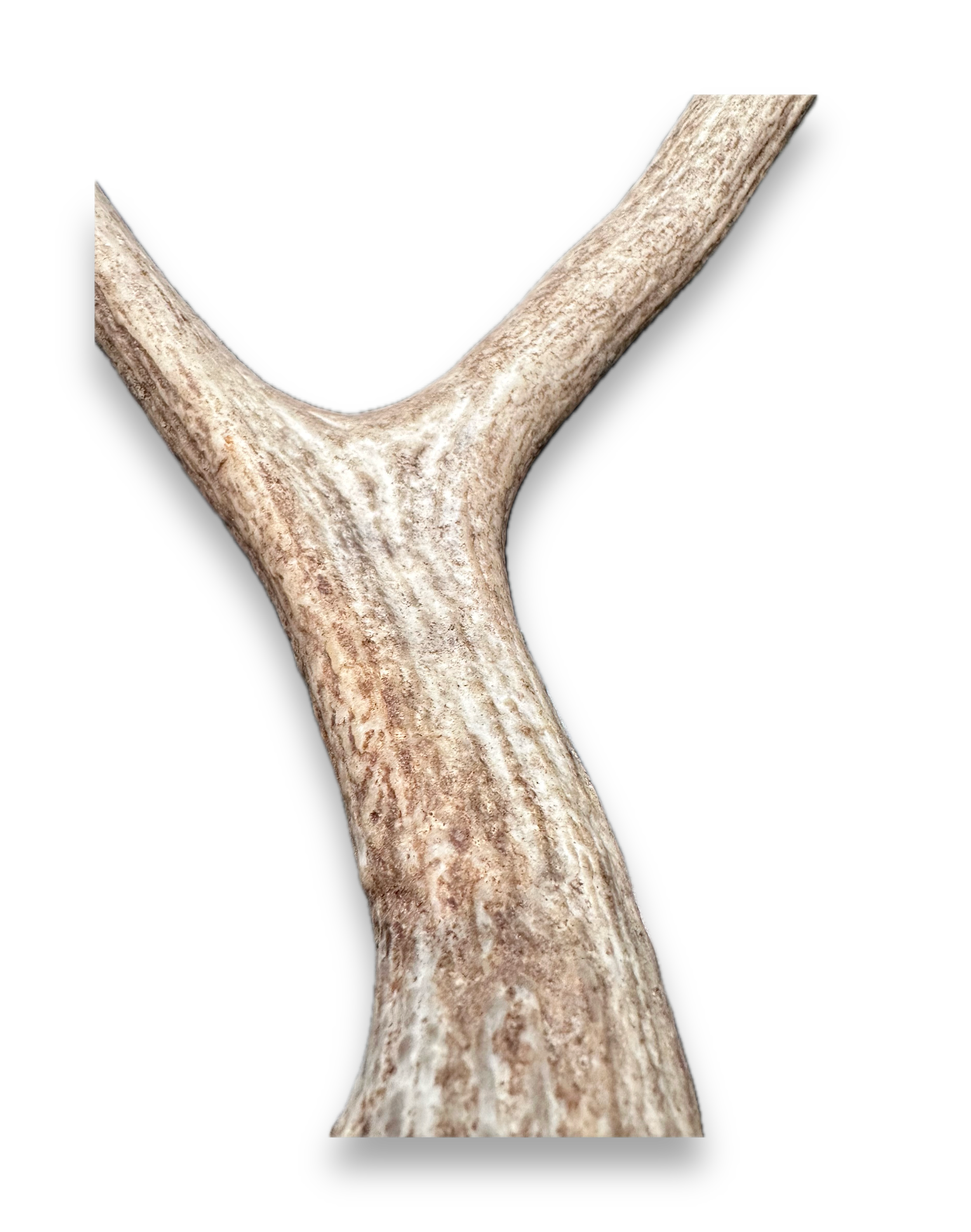 IMG_7281 Background Removed-shadow.png