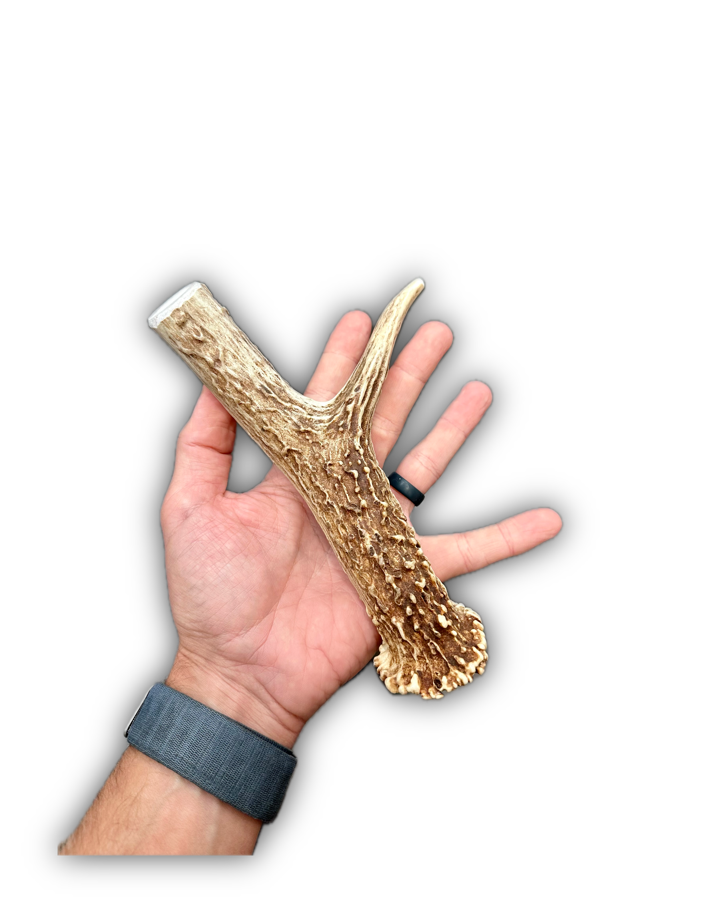 Deer Antler | Dog Chews | Custom Cut | Antler Base 9" w/ Tine