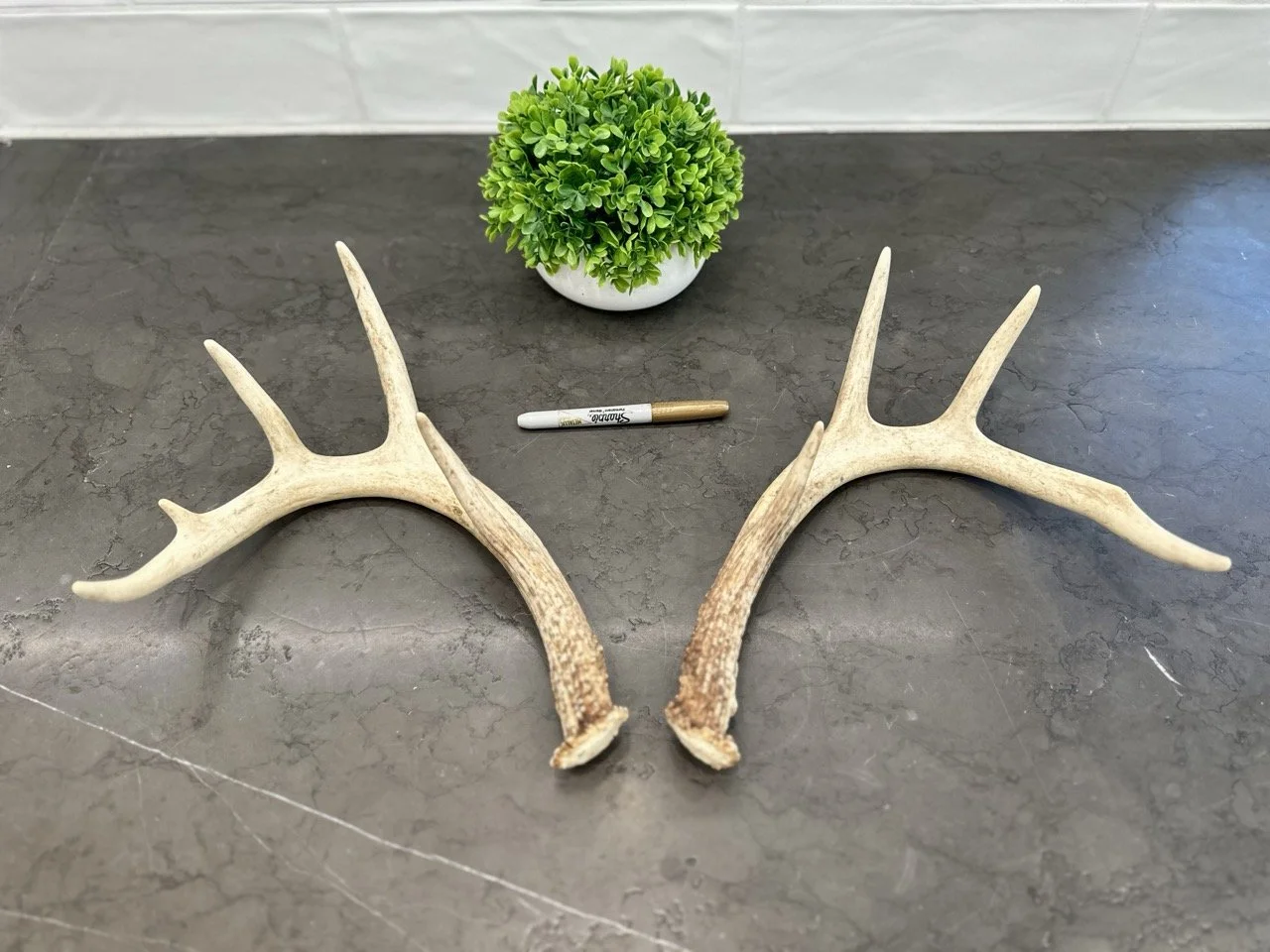 IMG_4376 2 Large.jpeg