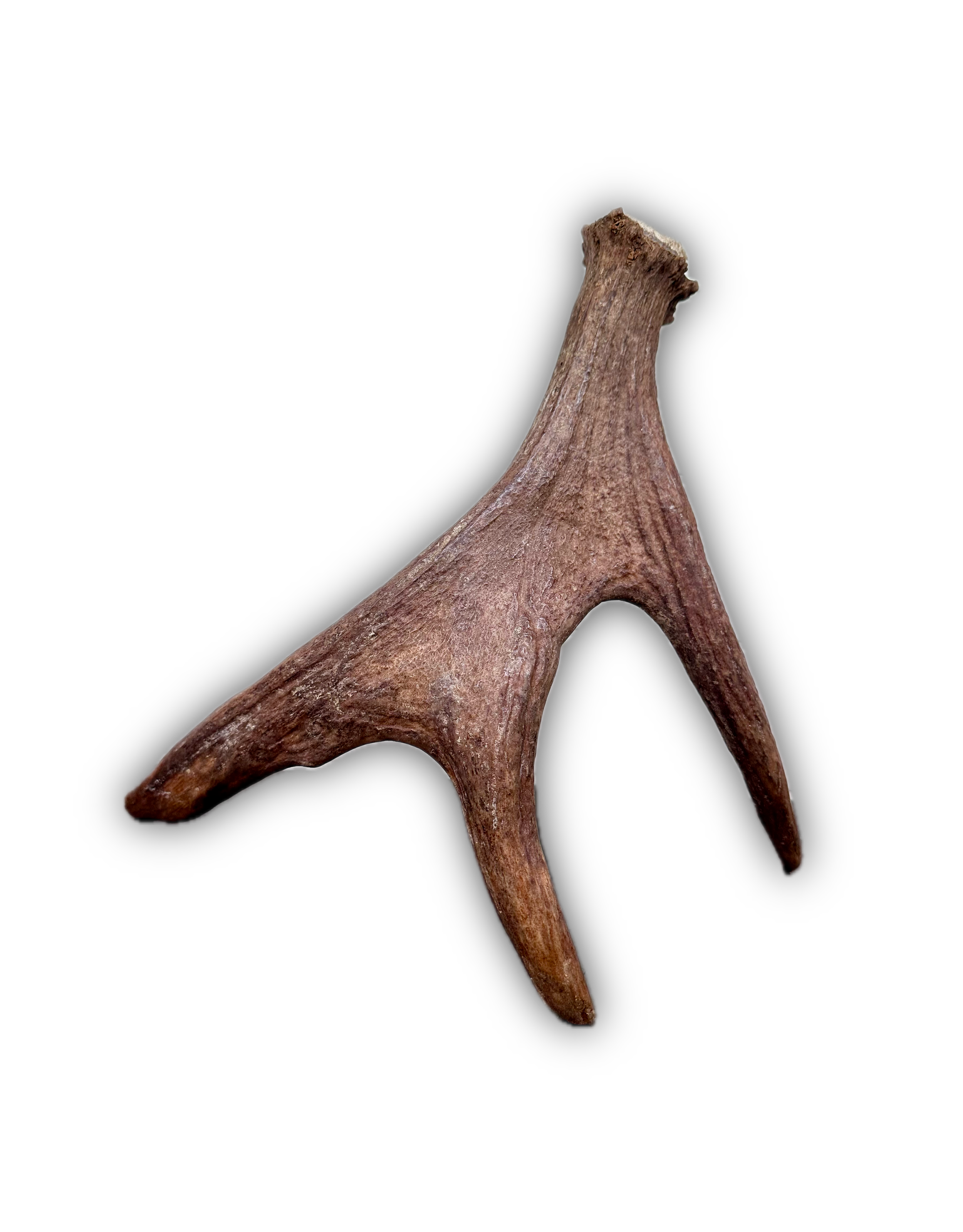 IMG_7209 Background Removed-shadow.png