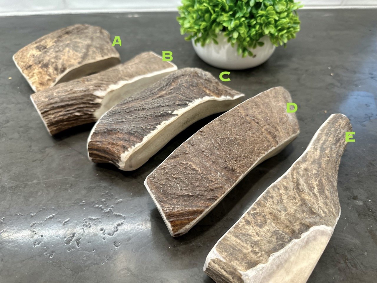 Moose Antler Dog Chews.jpeg