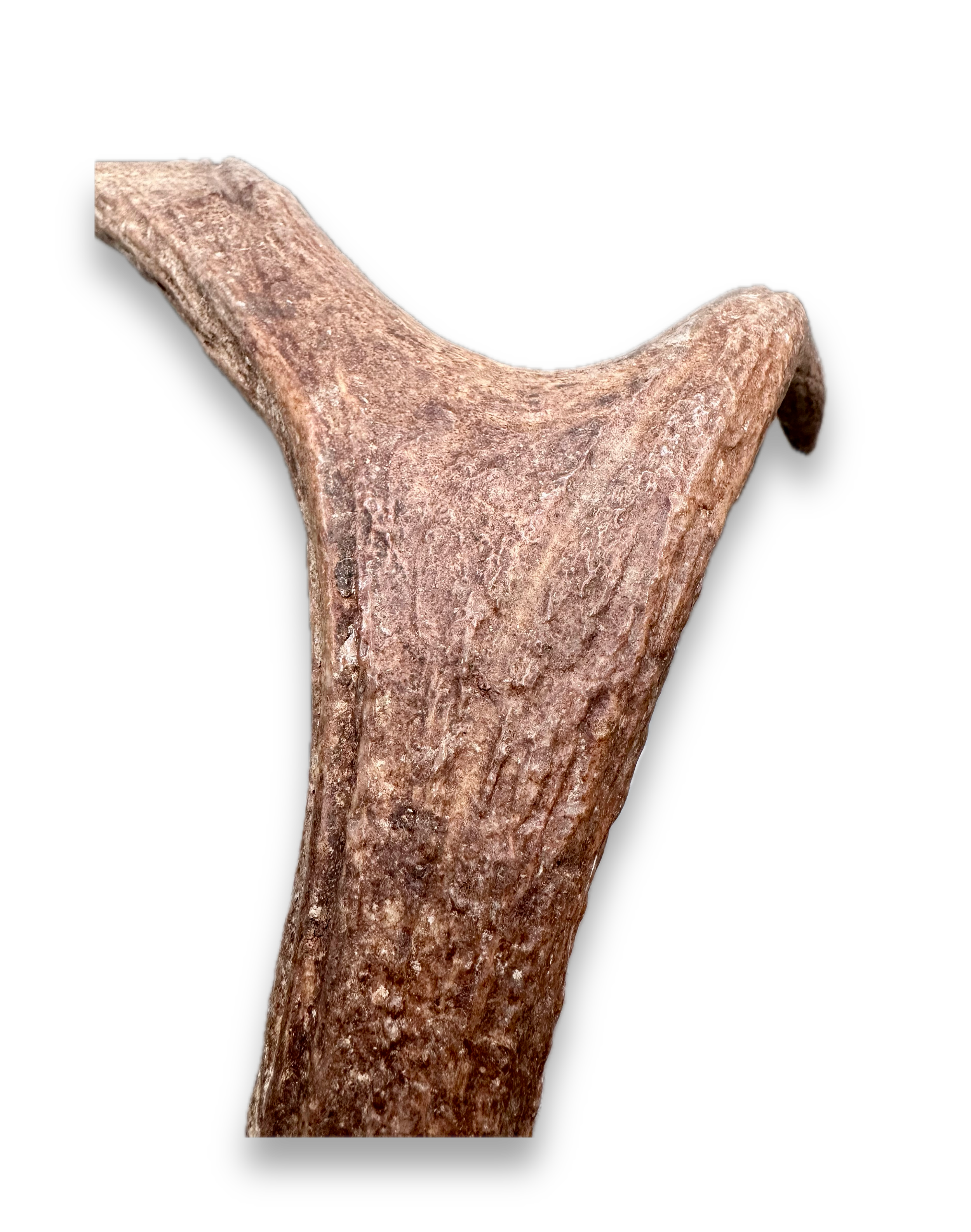IMG_7275 Background Removed-shadow.png