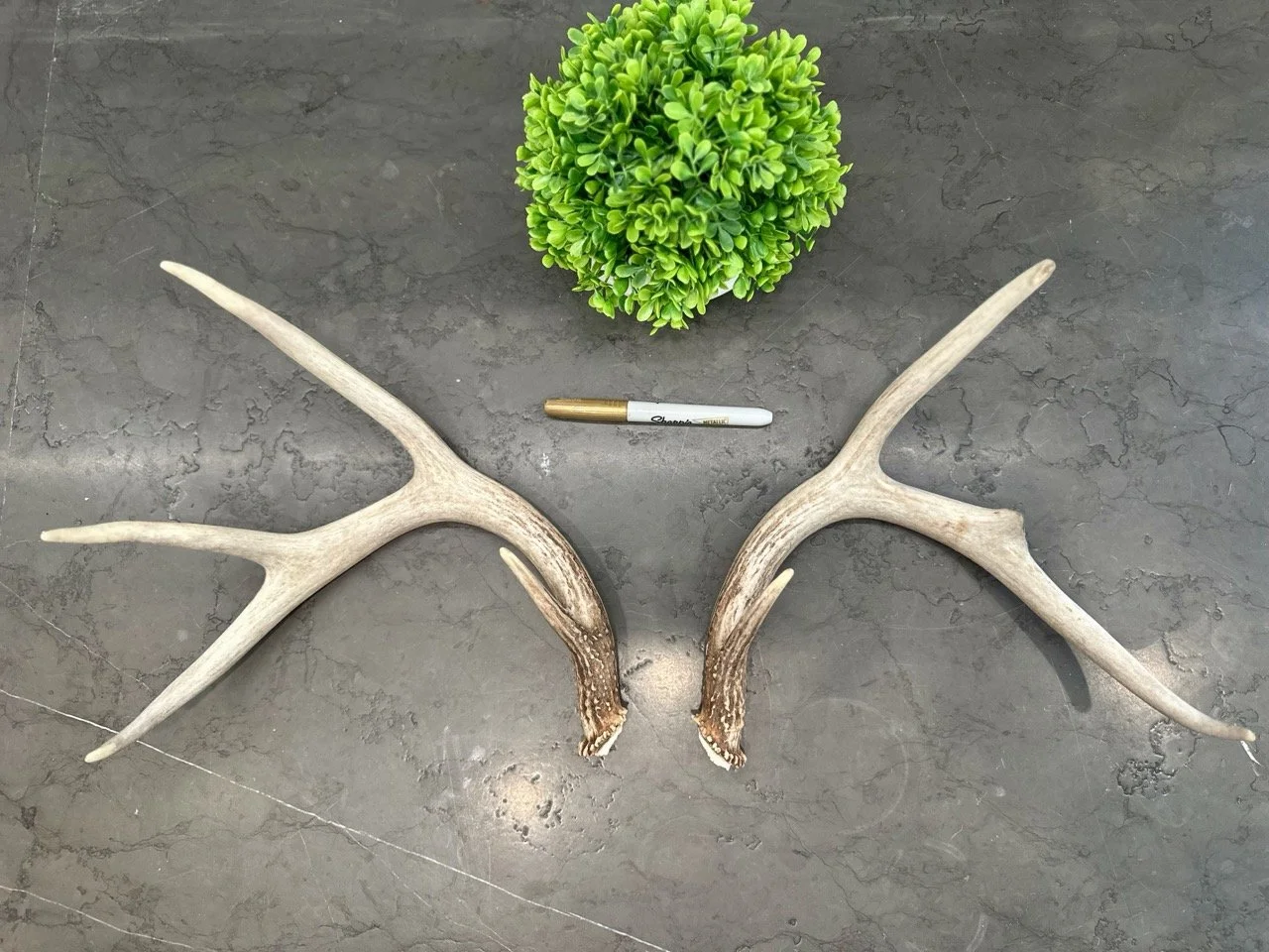 IMG_4406 2 Large.jpeg