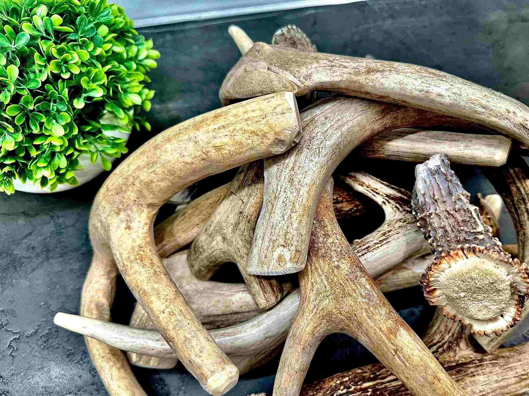 Deer Pieces Assortment