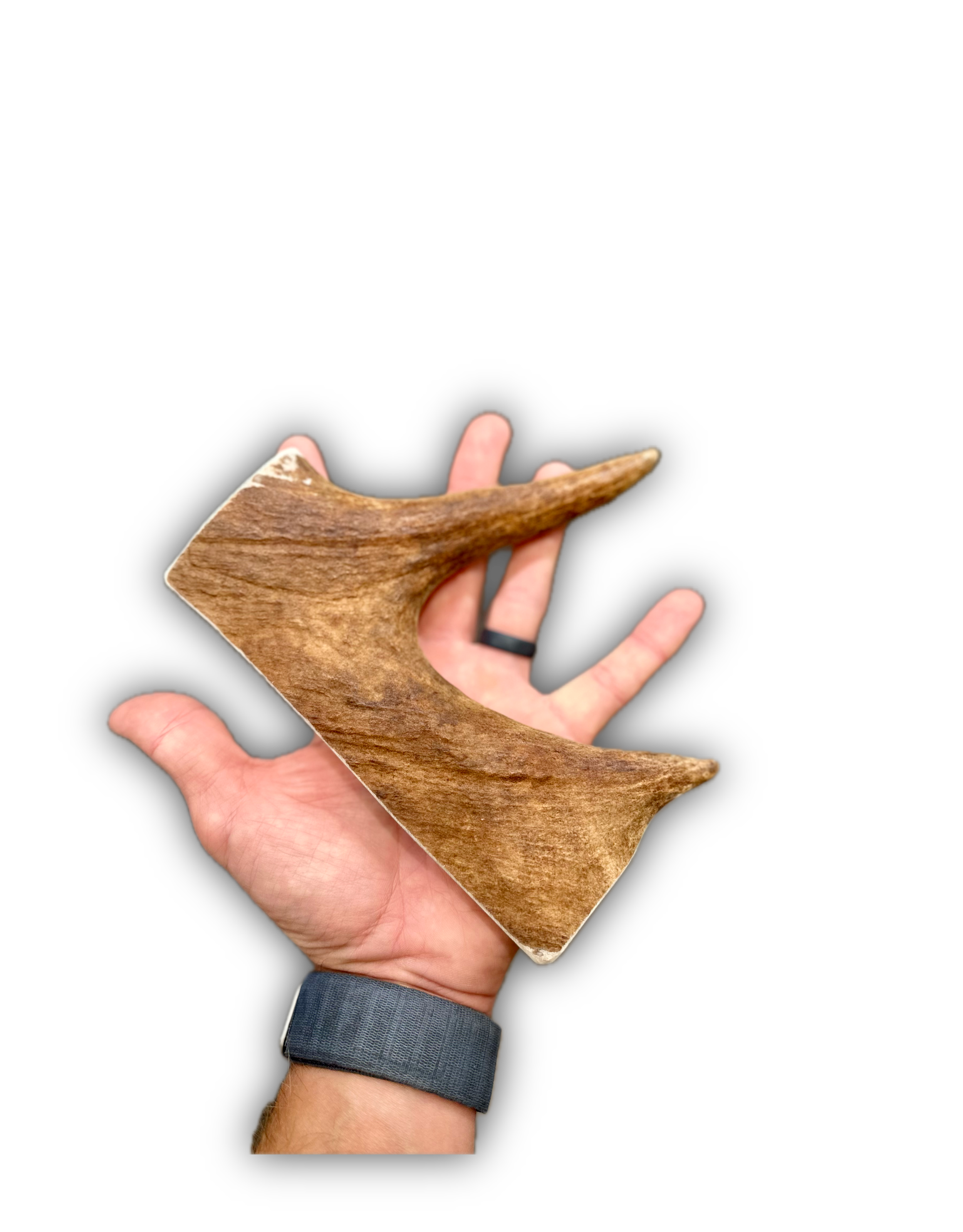 IMG_6930 Background Removed-shadow.png