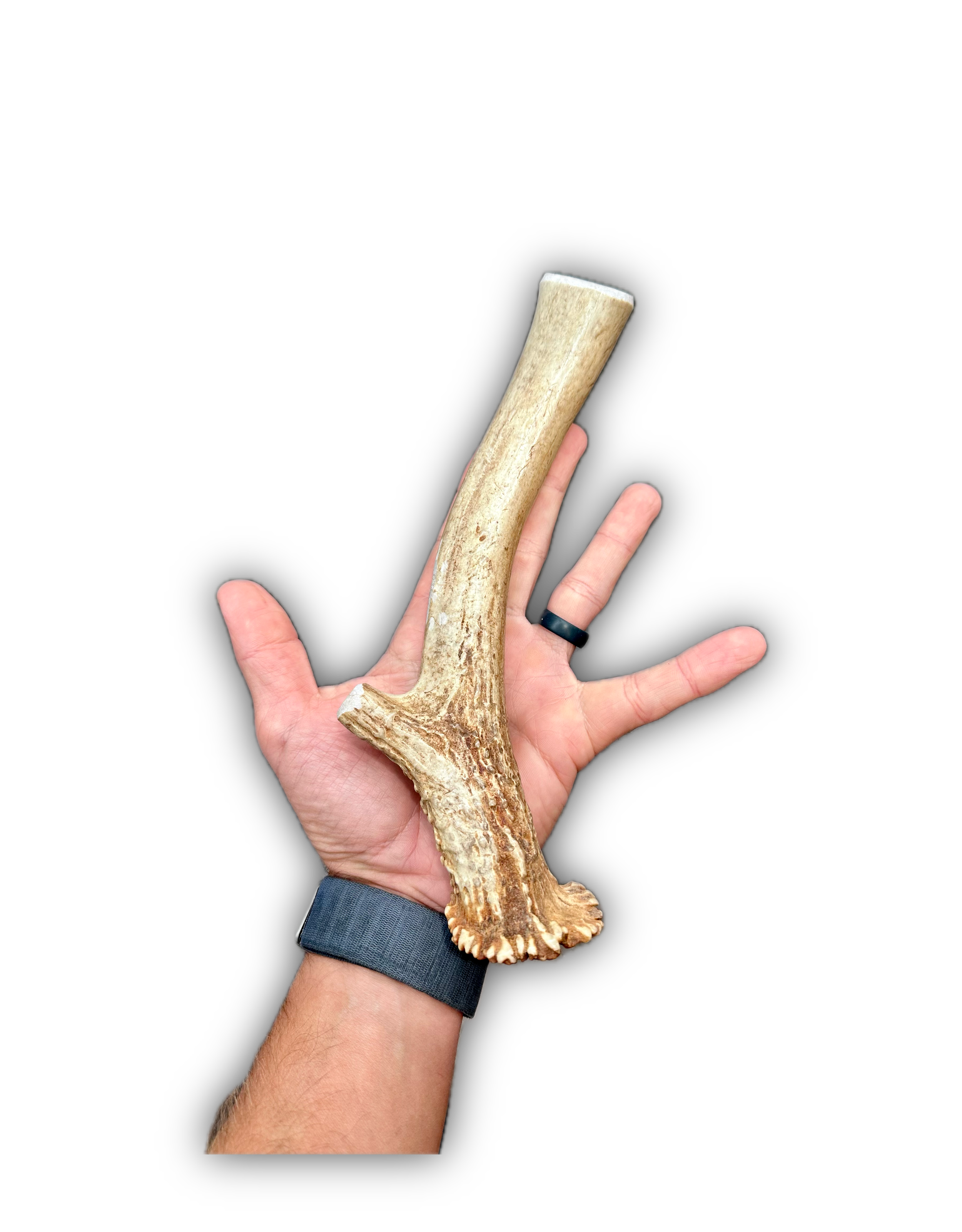 Deer Antler | Dog Chews | Custom Cut | Antler Base 11"