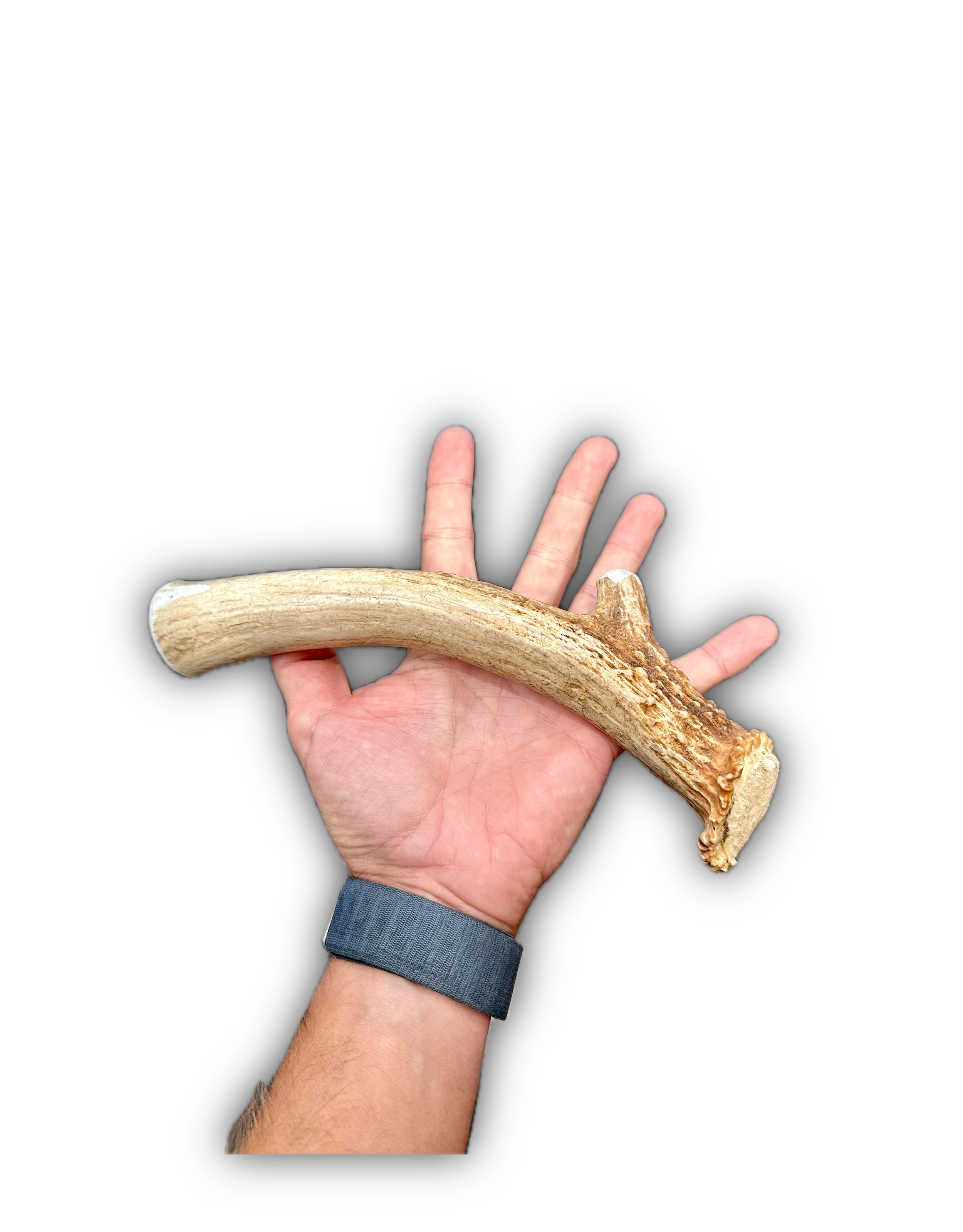 IMG_6964 Background Removed-shadow.png