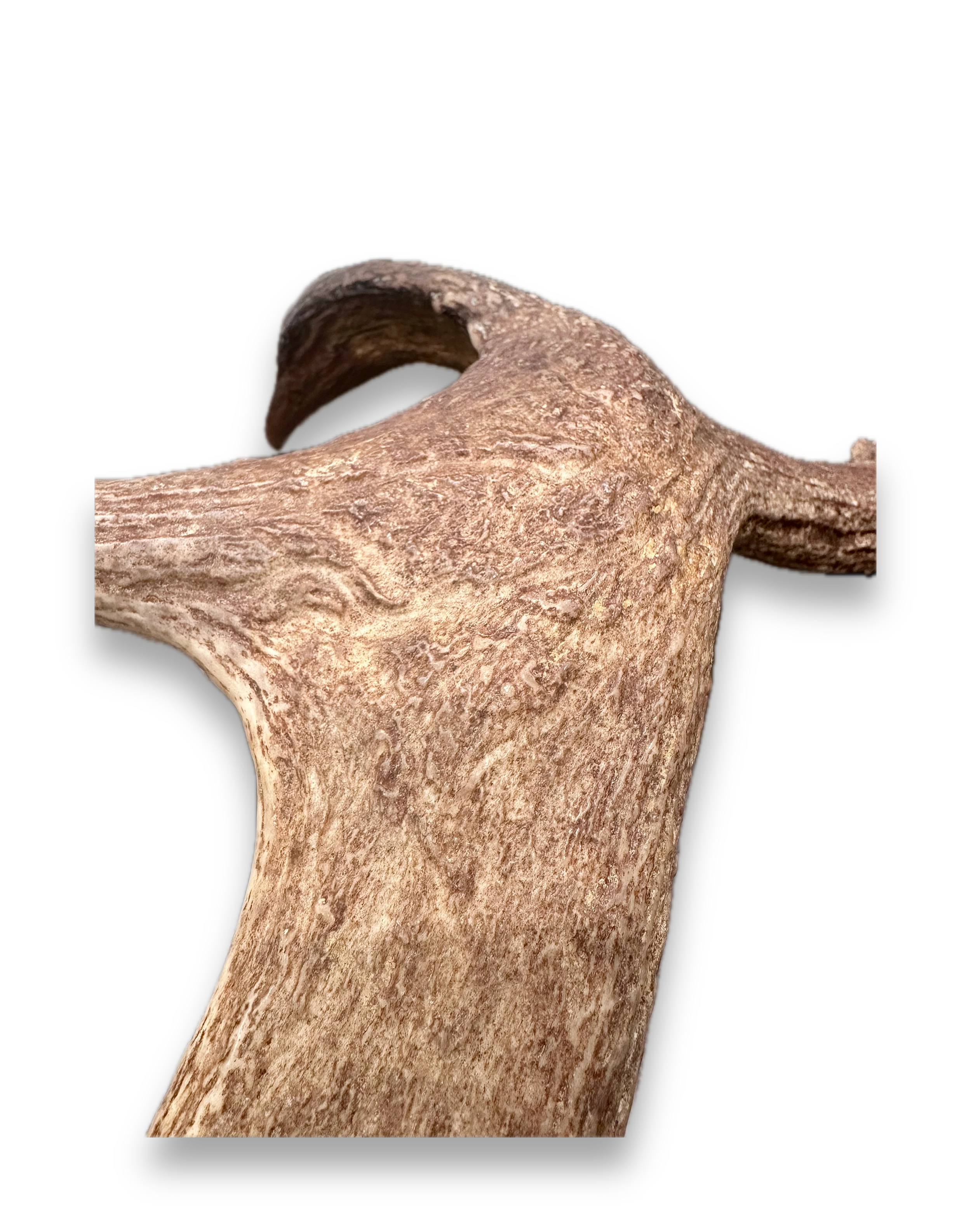 IMG_7247 Background Removed-shadow.png