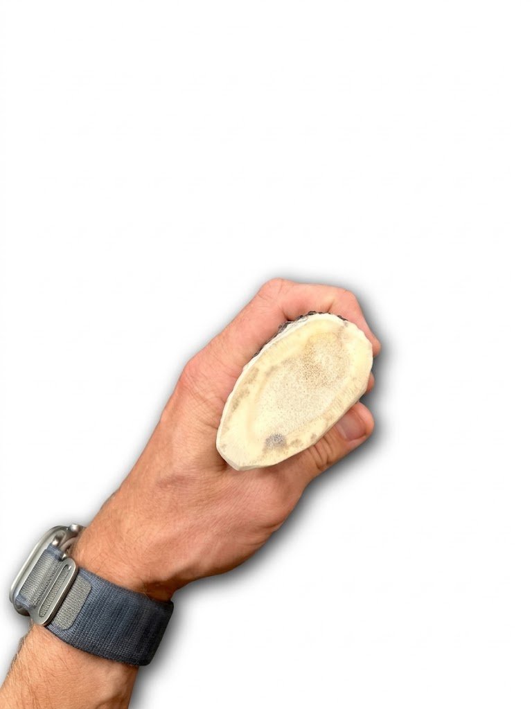 1ce0e60e7f-f45e-4ec5-b1a2-40d3c6c09b85.jpeg