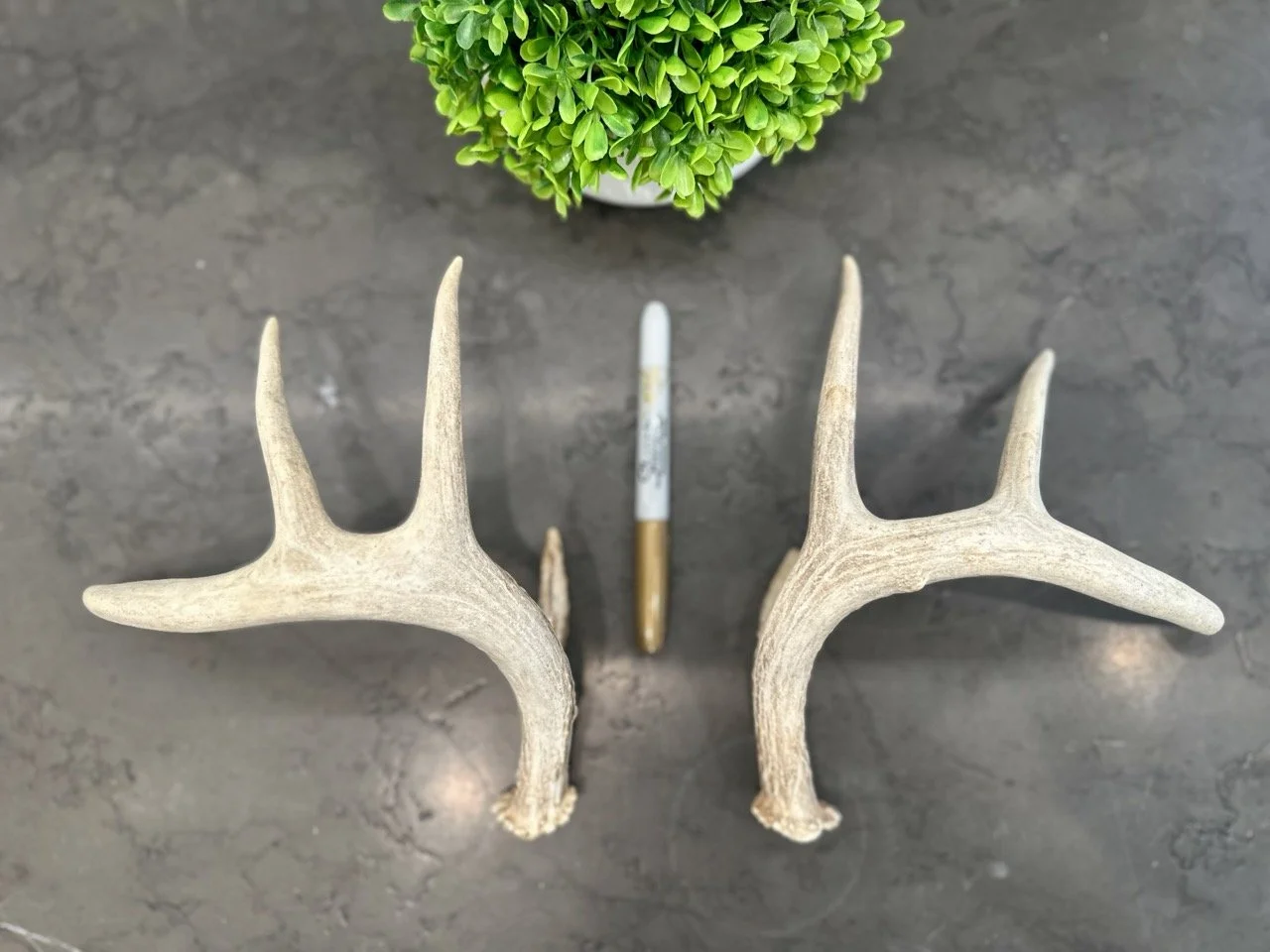 IMG_4389 2 Large.jpeg