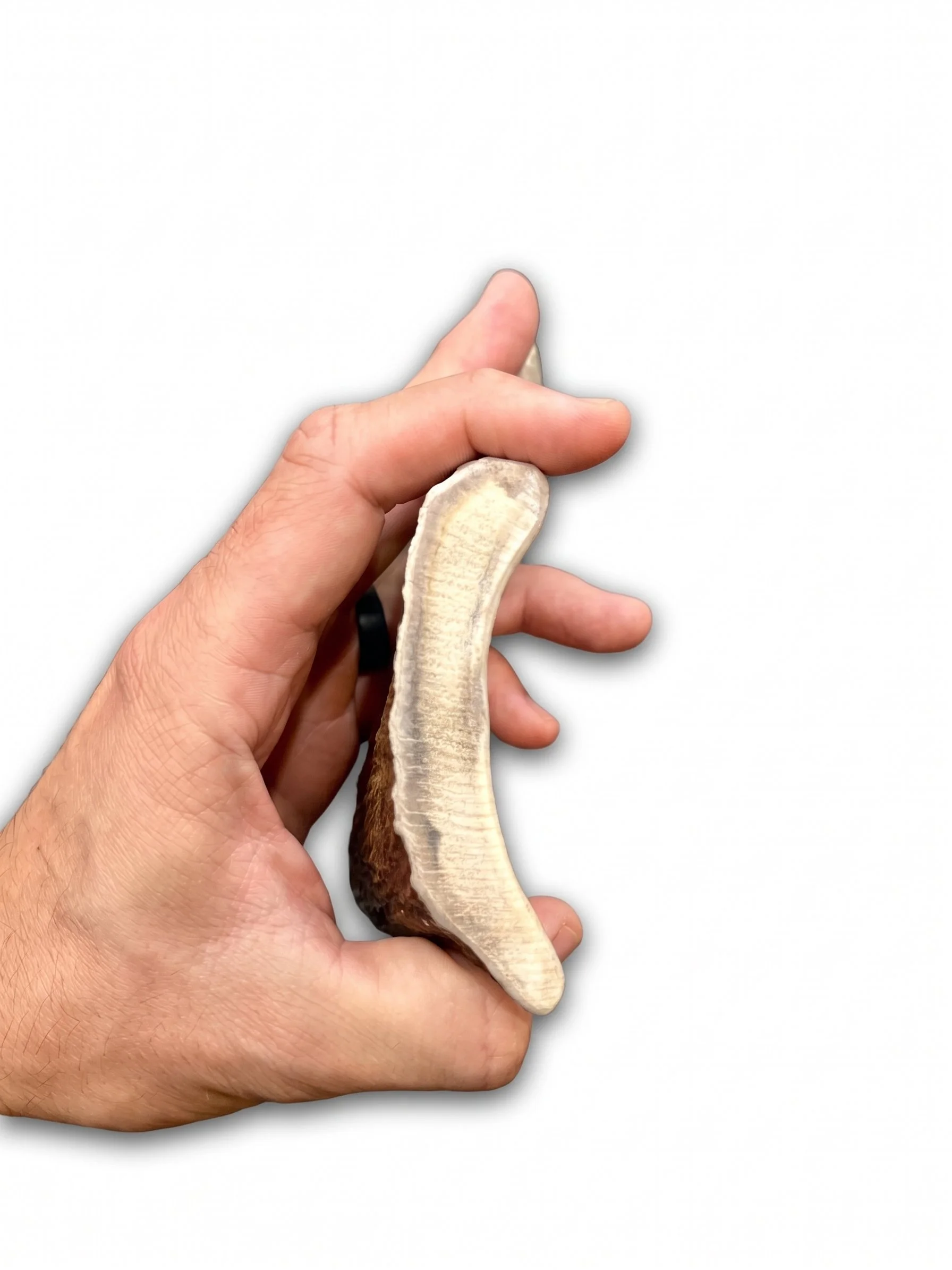 Gemini_Generated_Image_5ractu5ractu5rac.jpeg