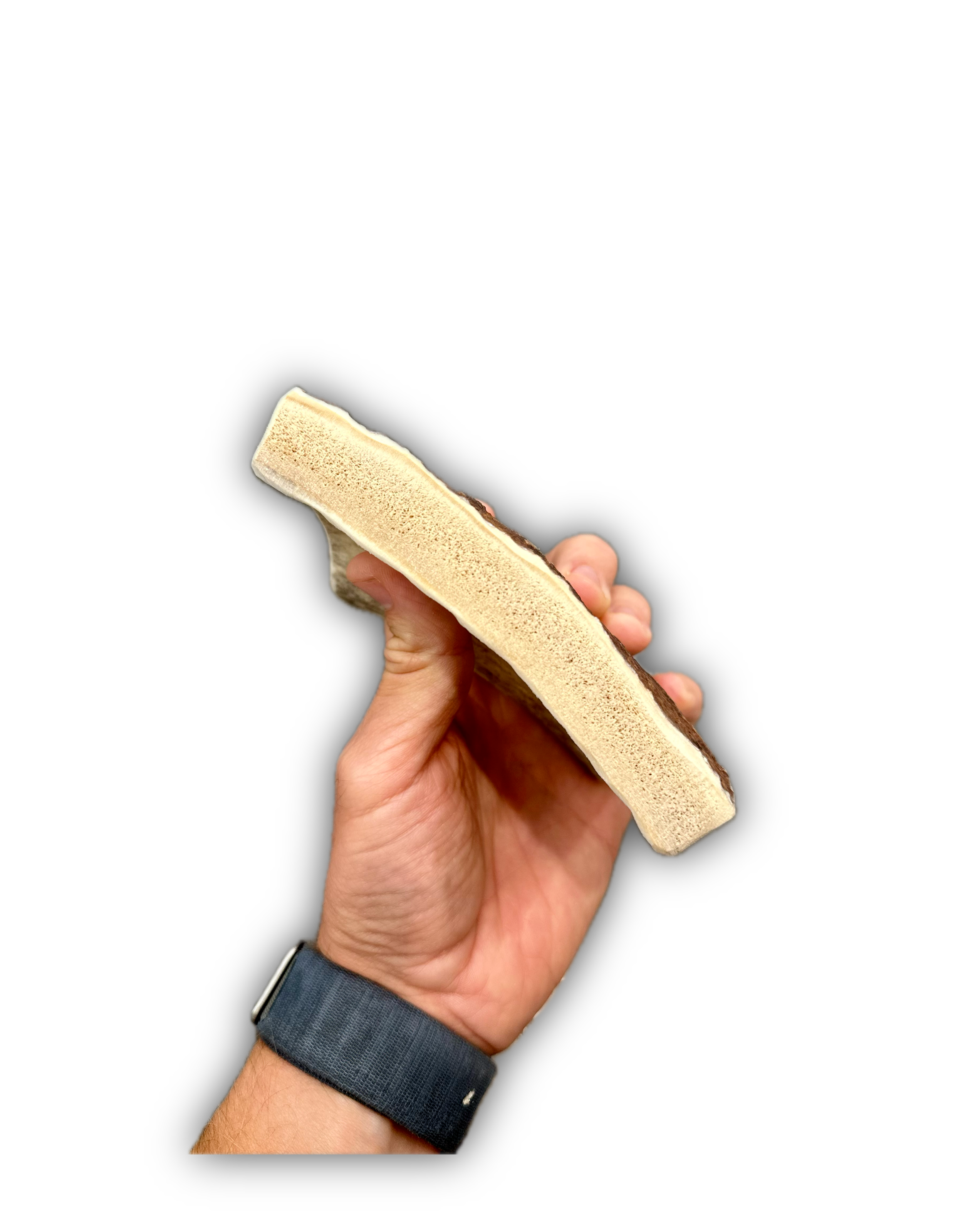 IMG_6924 Background Removed-shadow.png