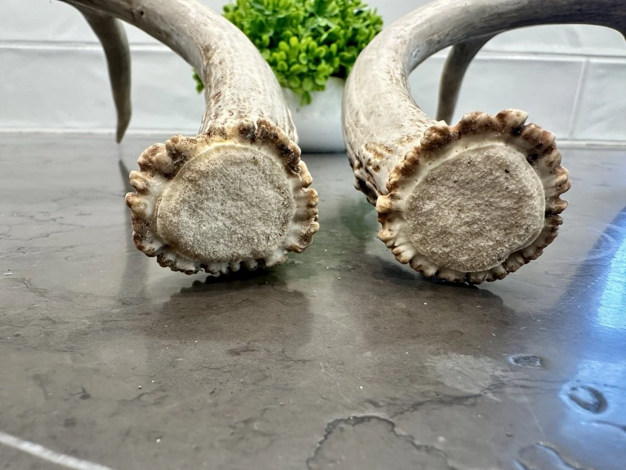 IMG_4375 2 Large.jpeg