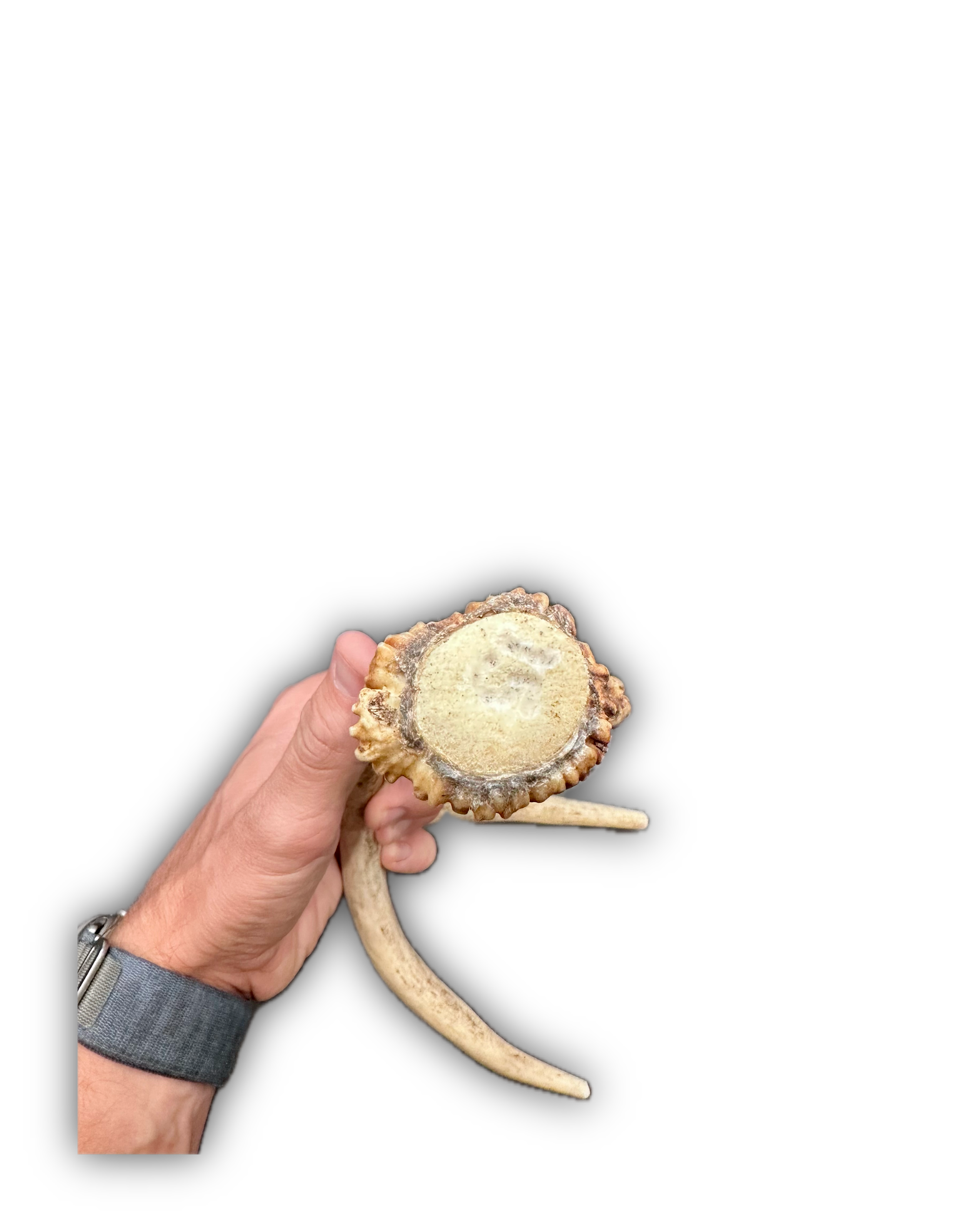 IMG_7008 Background Removed-shadow.png