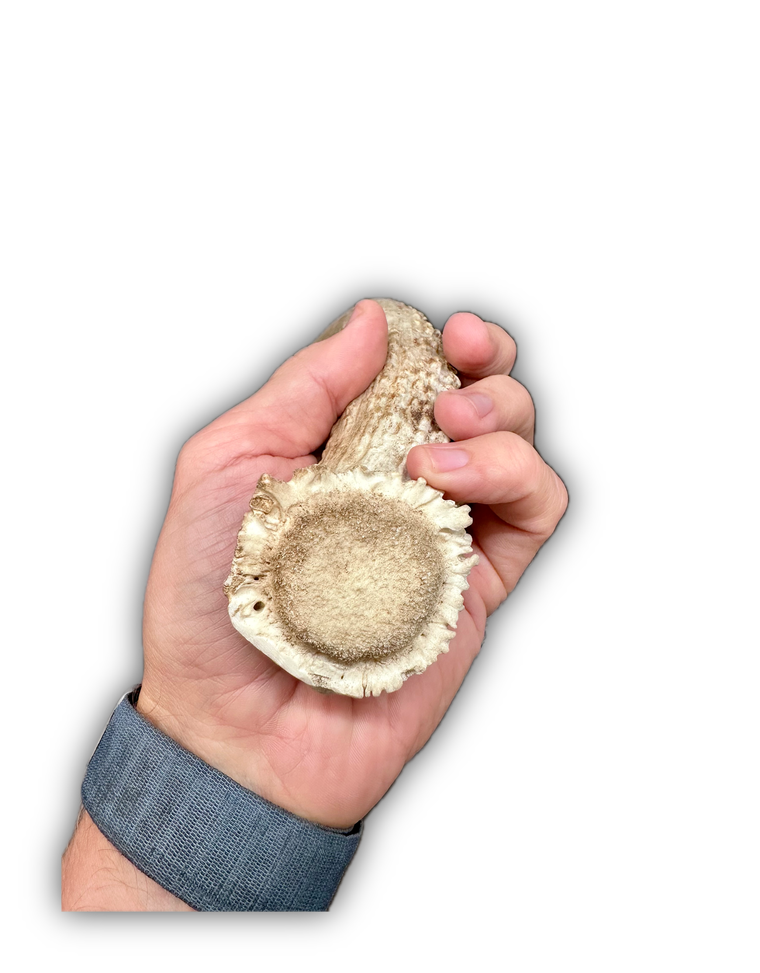 IMG_6994 Background Removed-shadow.png