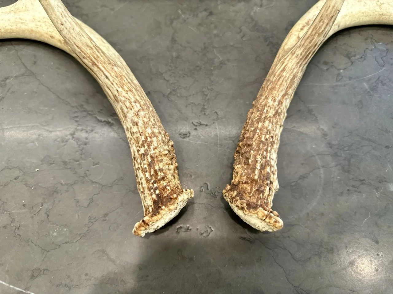 IMG_4380 2 Large.jpeg