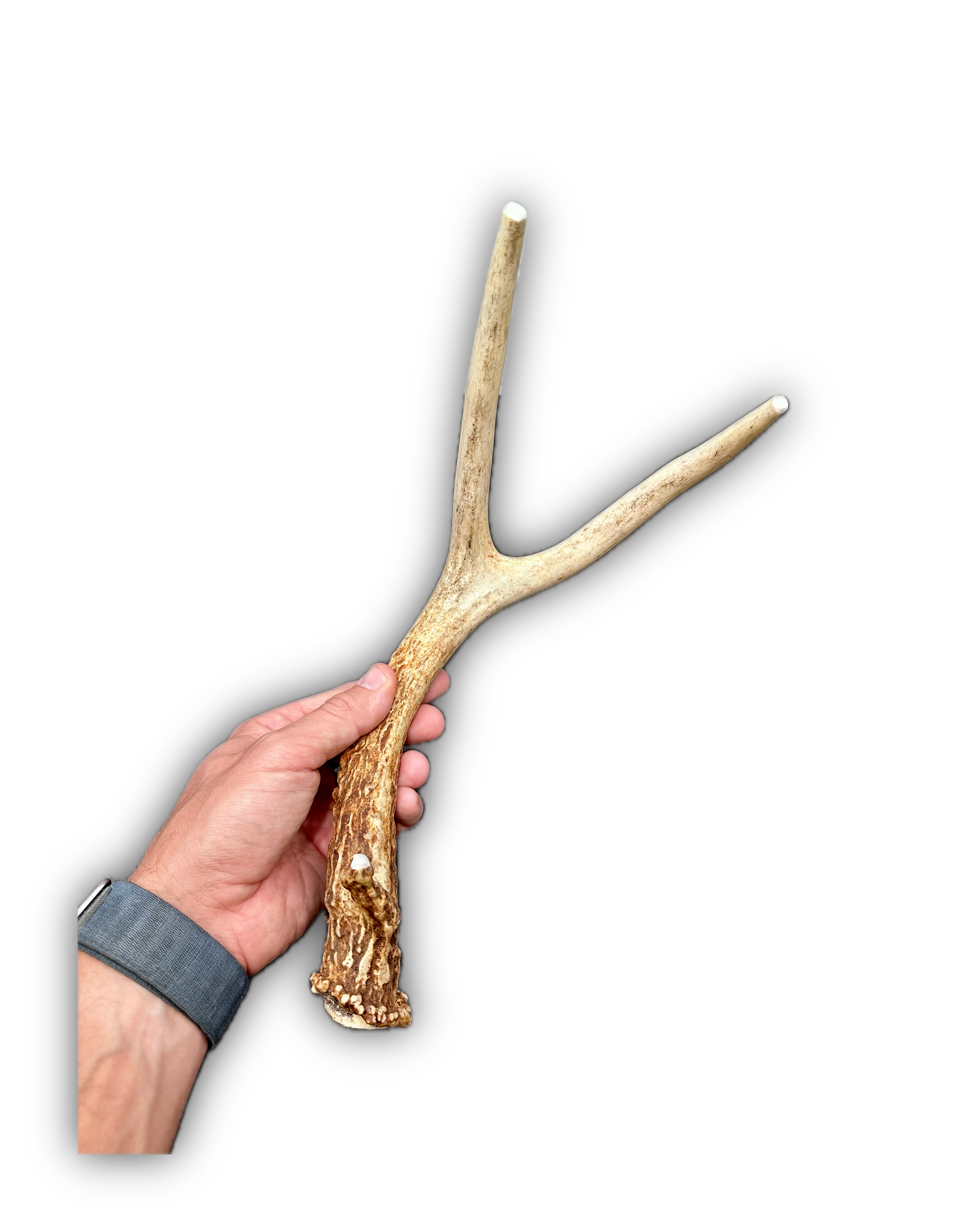 IMG_7006 Background Removed-shadow.png