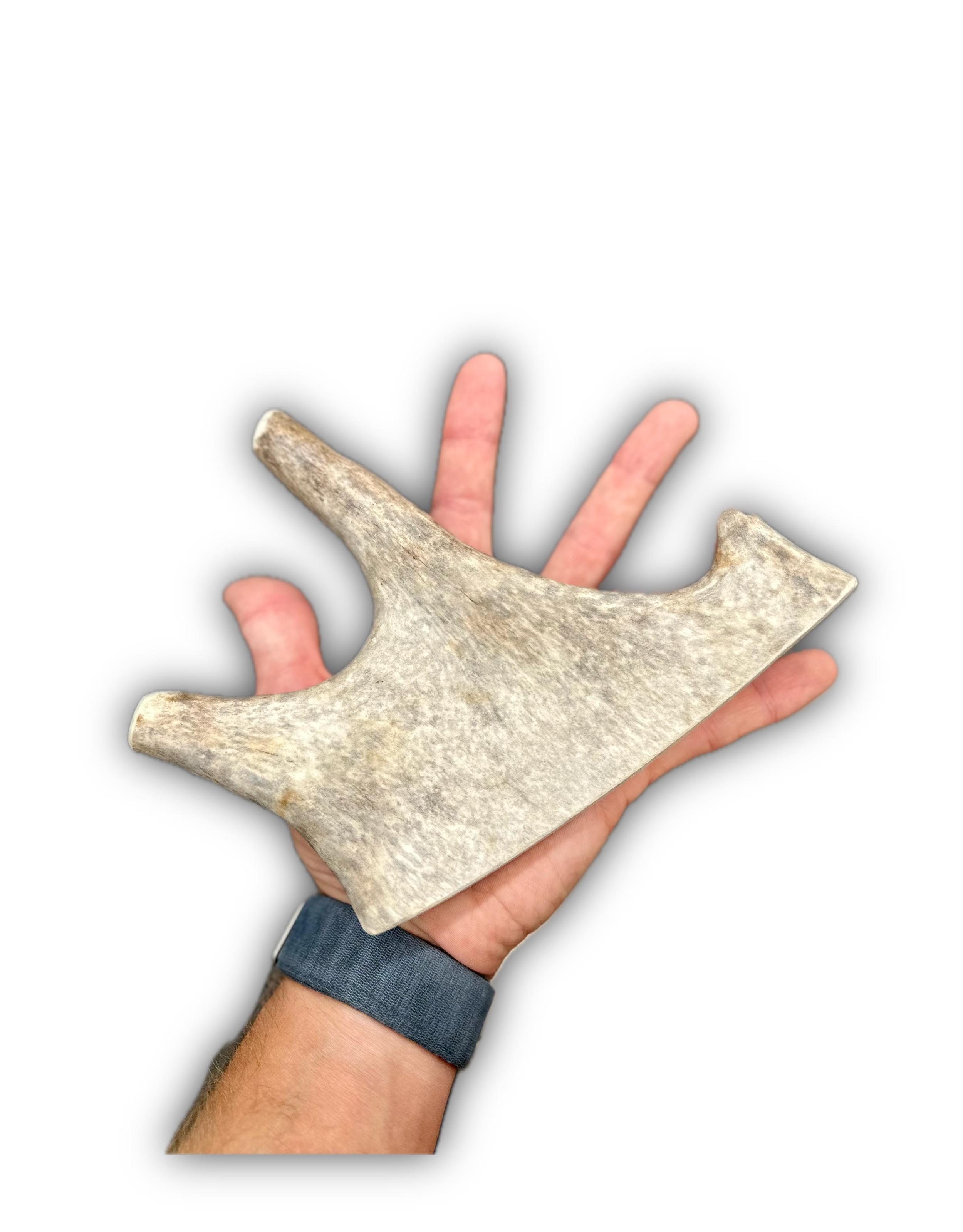 IMG_6905 Background Removed-shadow.png