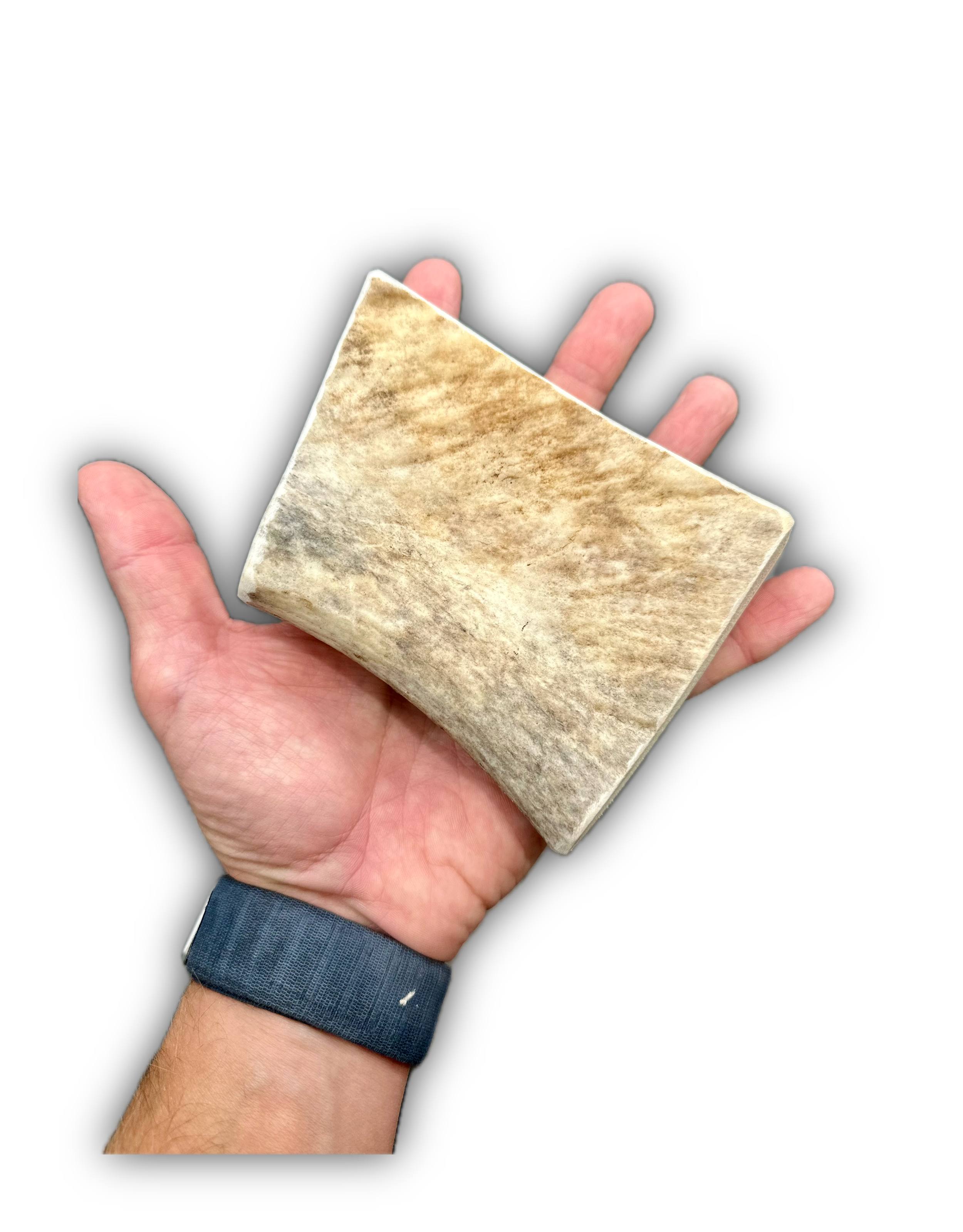 IMG_6923 Background Removed-shadow.png