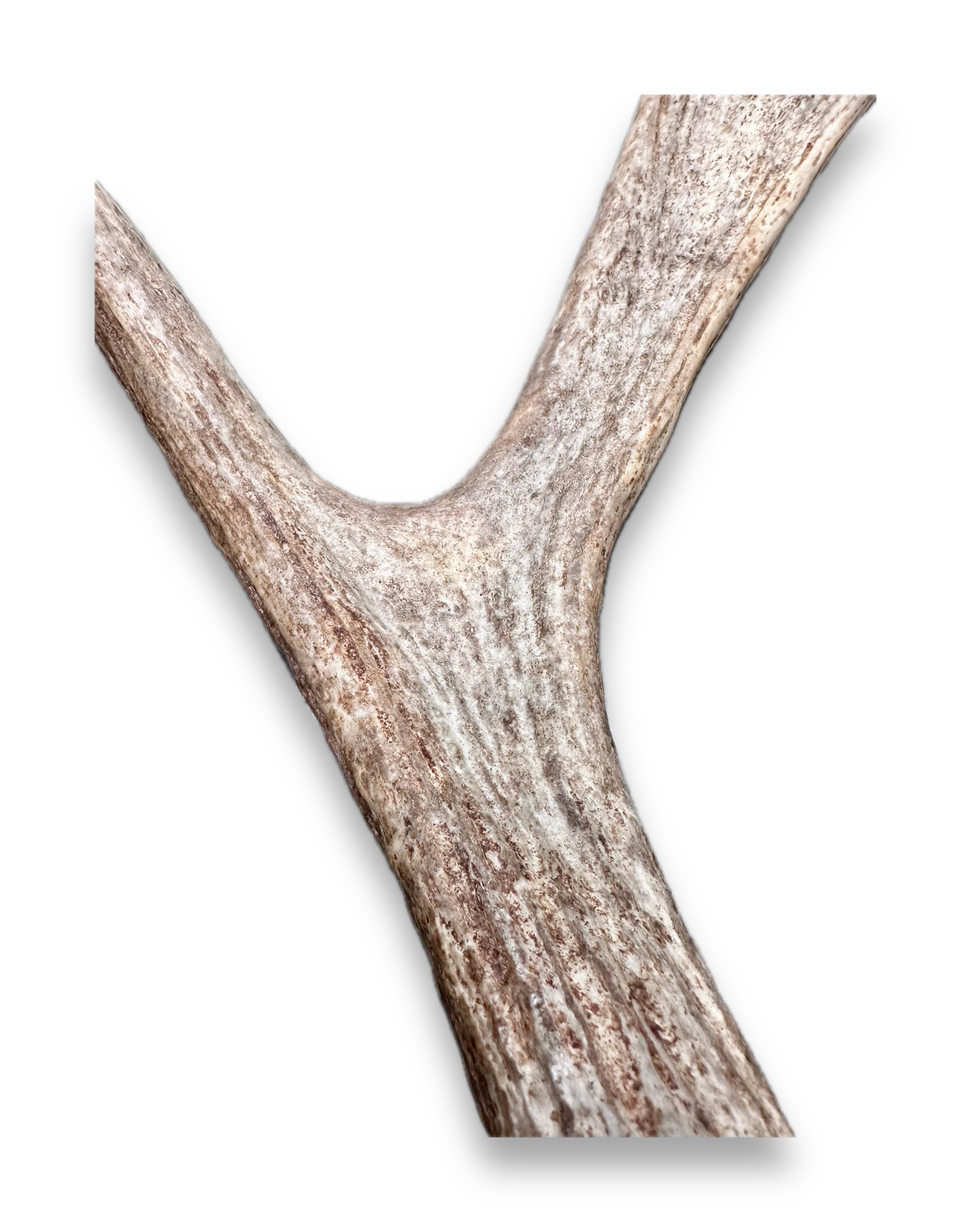 IMG_7274 Background Removed-shadow.png