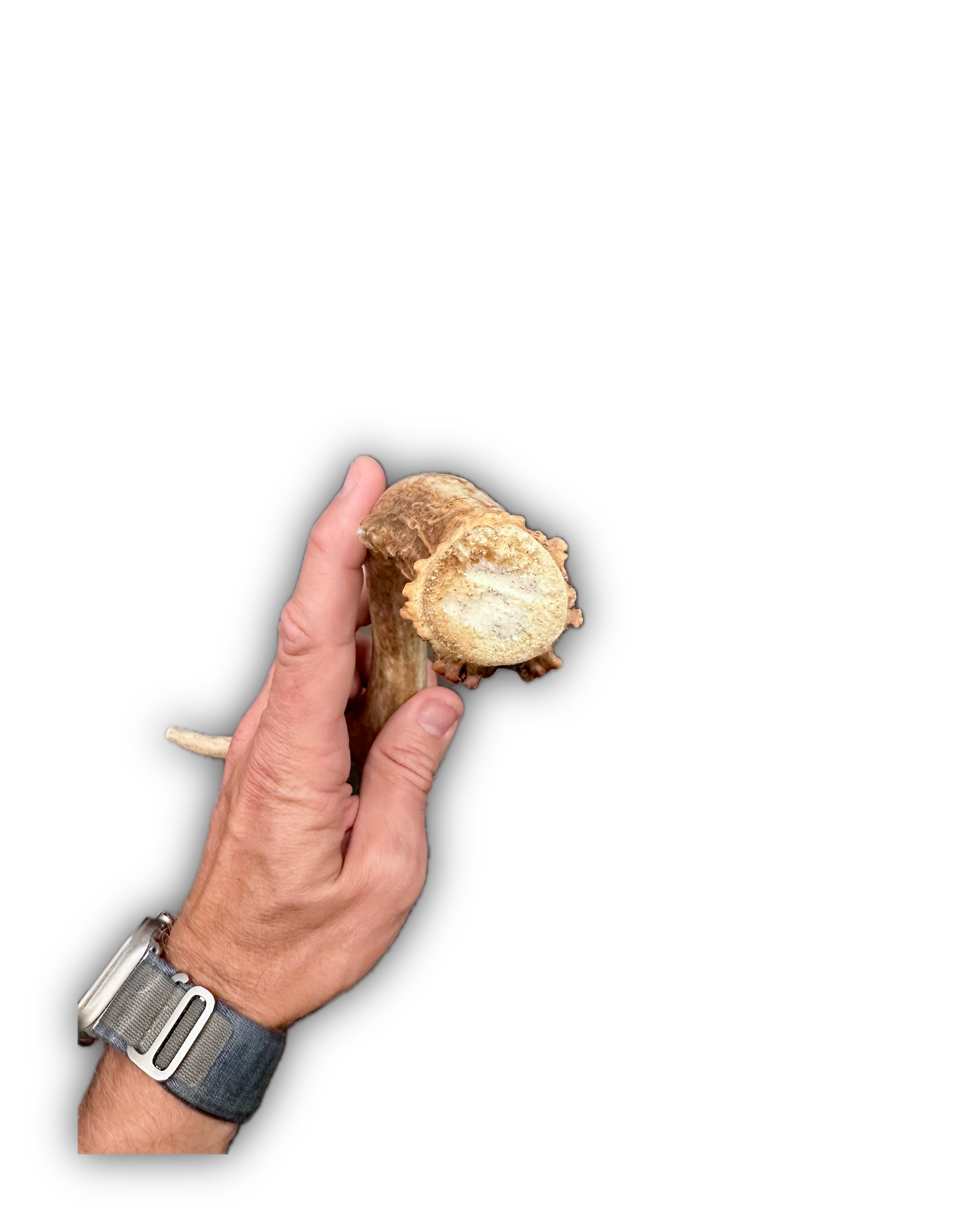 IMG_7004 Background Removed-shadow.png