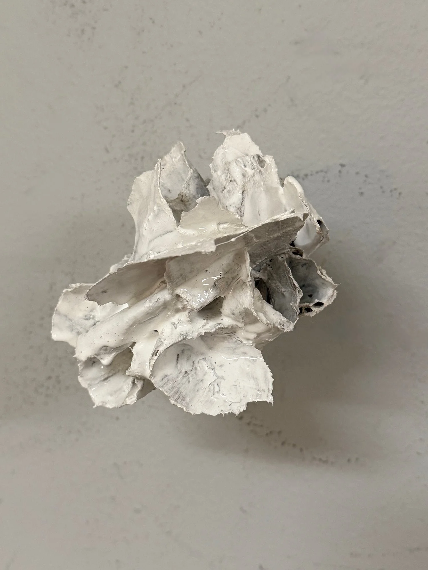 Urban flower close up view with gesso undercoat.jpg