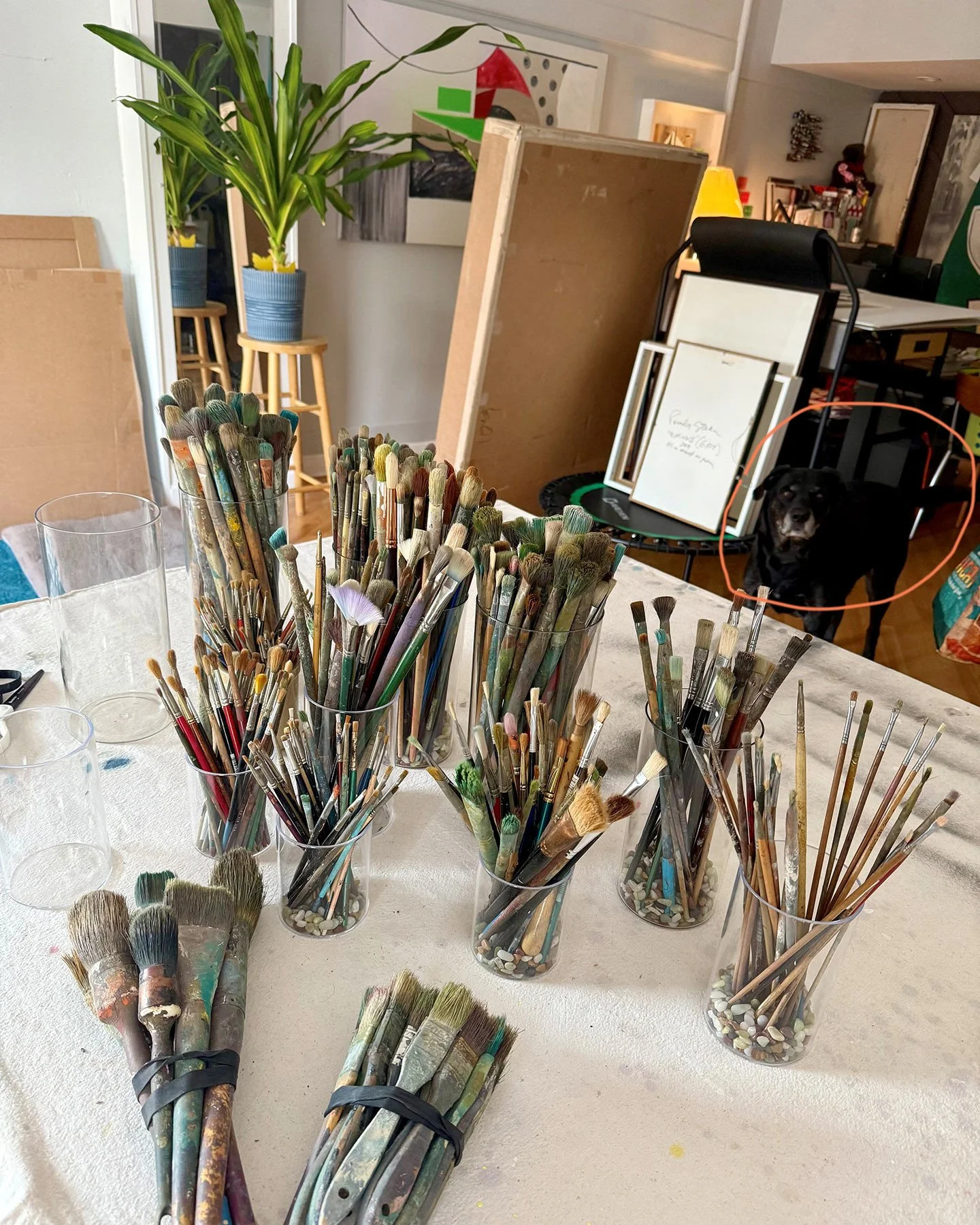 This is apparently National Get All My Brushes Organized Day. And there is a dog in this picture. 🥰He's always so hidden, but now his gray beard gives him away LOL.⁠