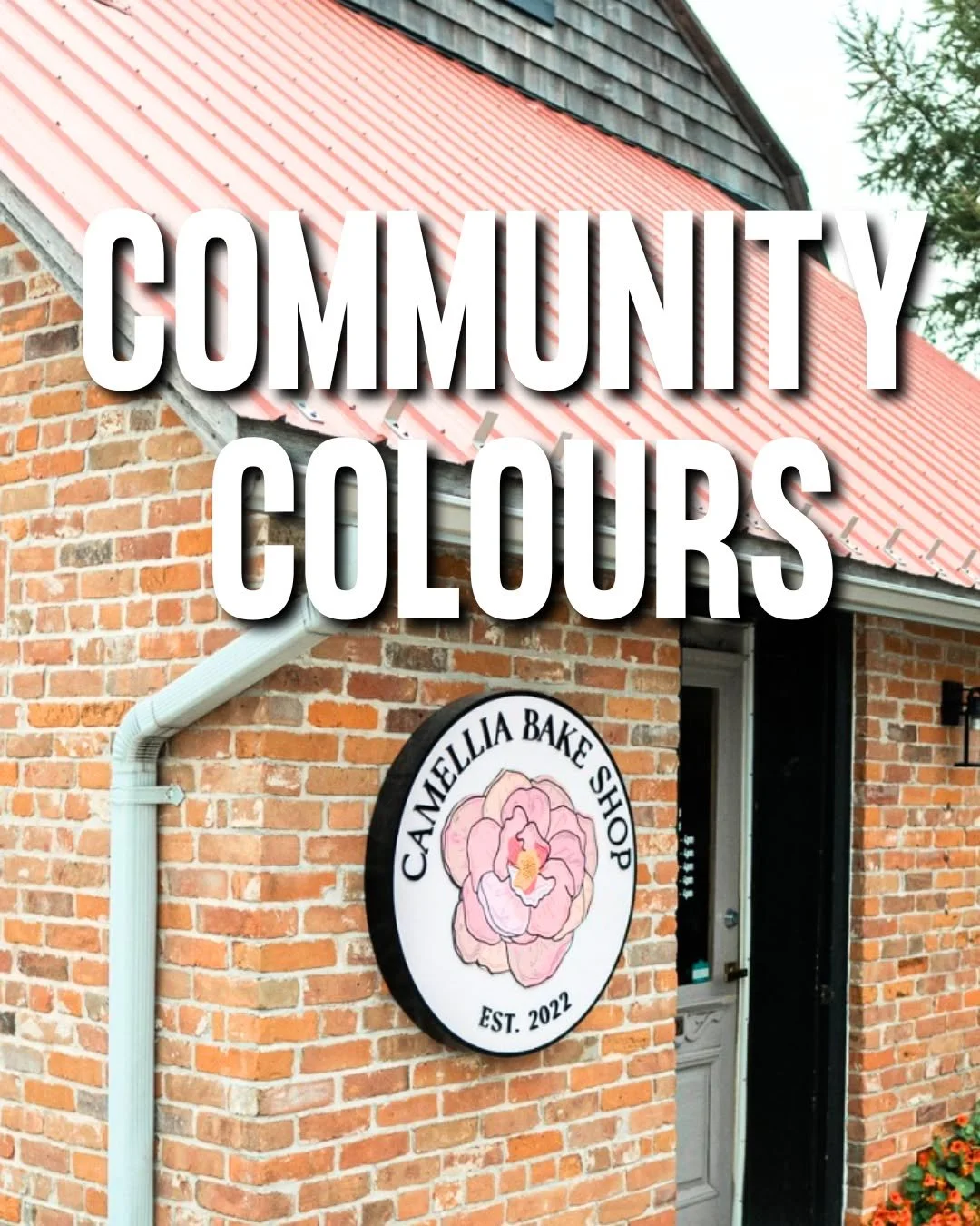 We&rsquo;re turning local spots around Kitchener-Waterloo into real, usable paint palettes you can bring into your home.

First stop: @CamelliaBakeShop.

Warm brick, soft neutrals, creamy tones, and a few bold accents, all pulled straight from the sp