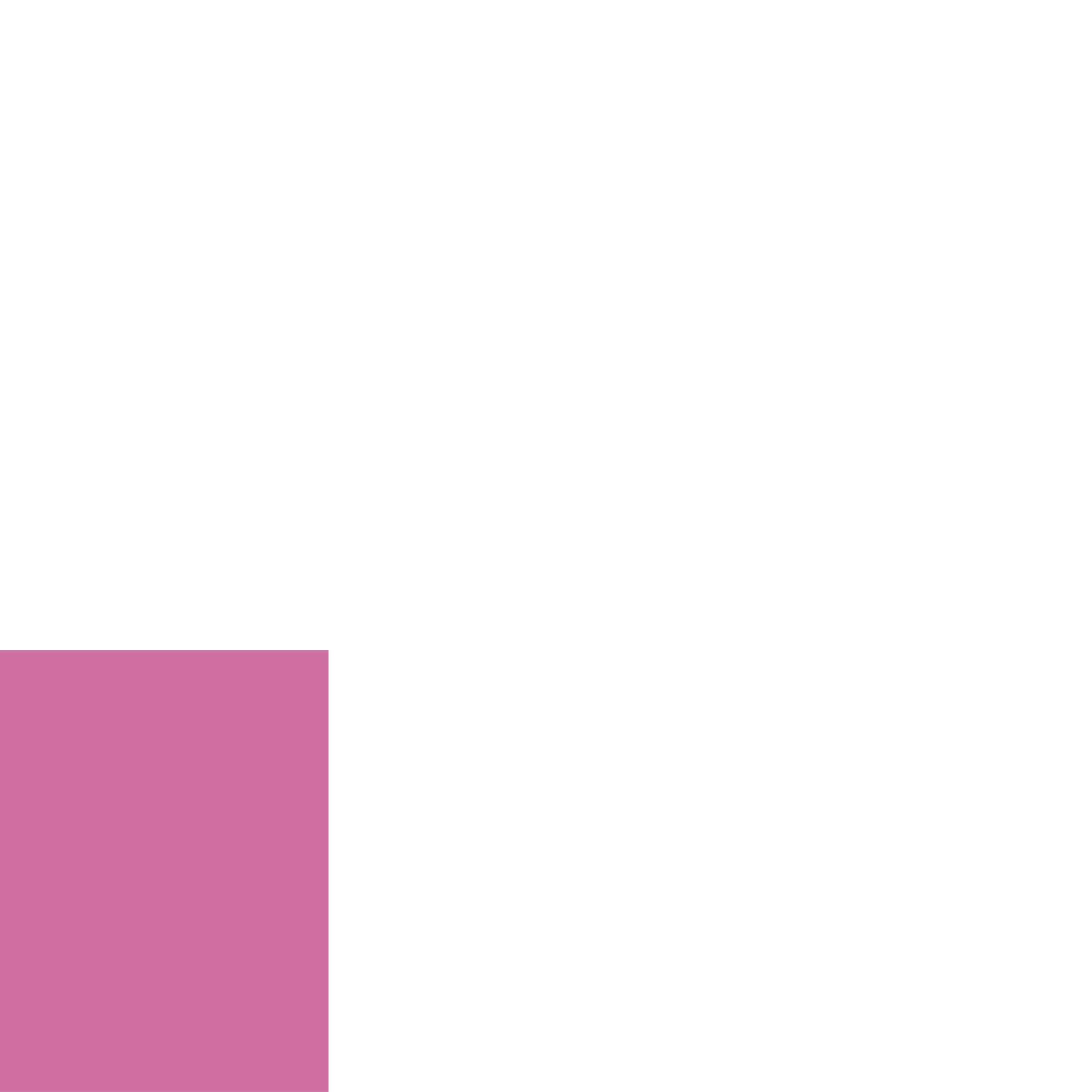 Fractional Home Fantasy — Dyan Rody