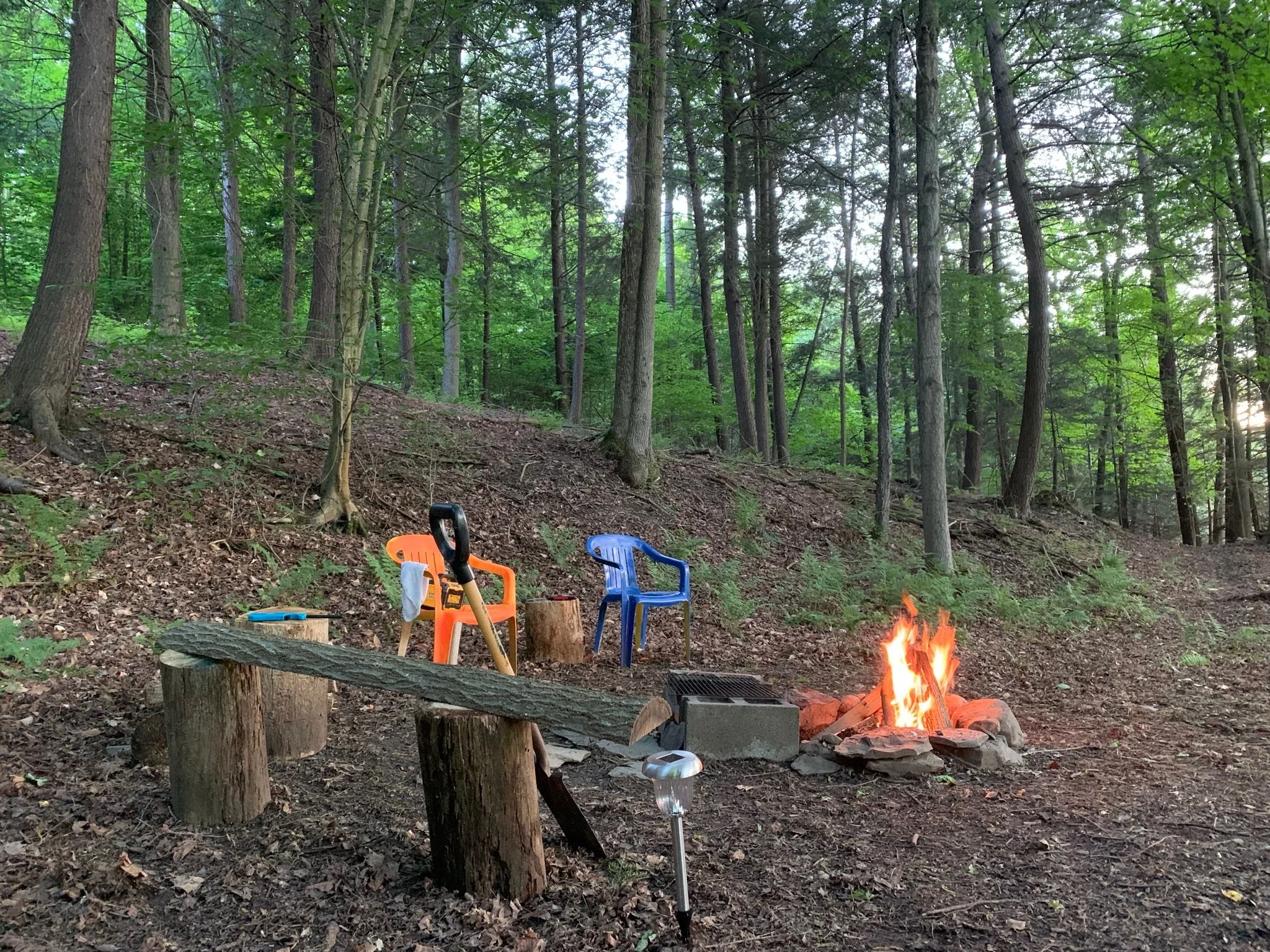 Camp Wood Starter Kit