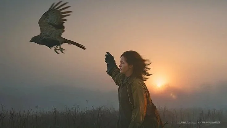 HIsForHawk.jpg