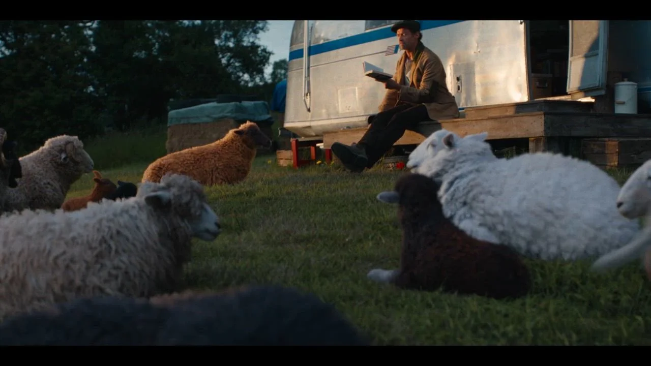 THE SHEEP DETECTIVES landscape.jpg