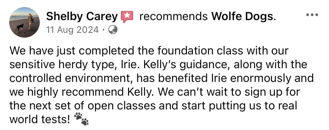 WolfeDogsReviews_1259.jpeg