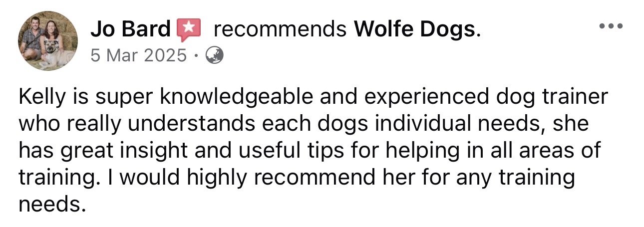 WolfeDogsReviews_1257.jpeg