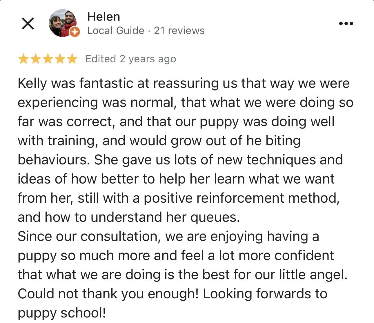 WolfeDogsReviews_1251.jpeg