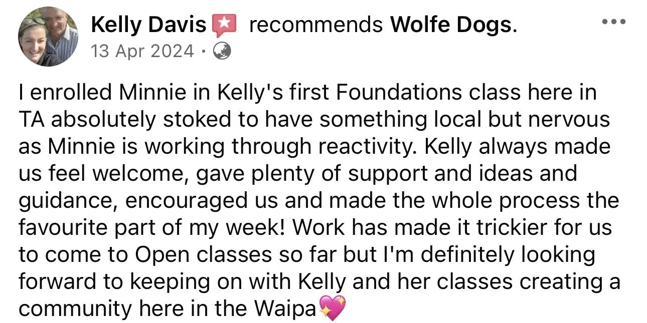 WolfeDogsReviews_1265.jpeg