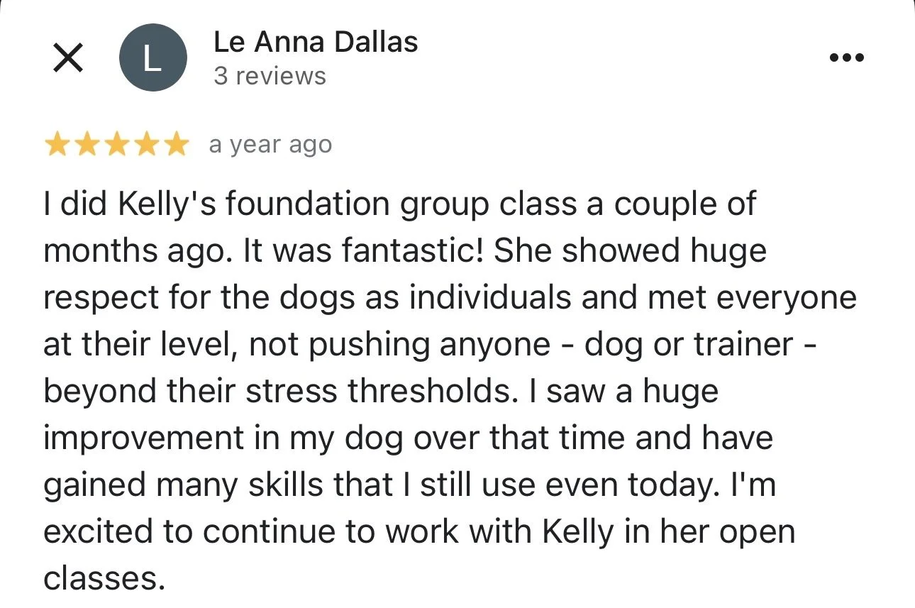 WolfeDogsReviews_1250.jpeg