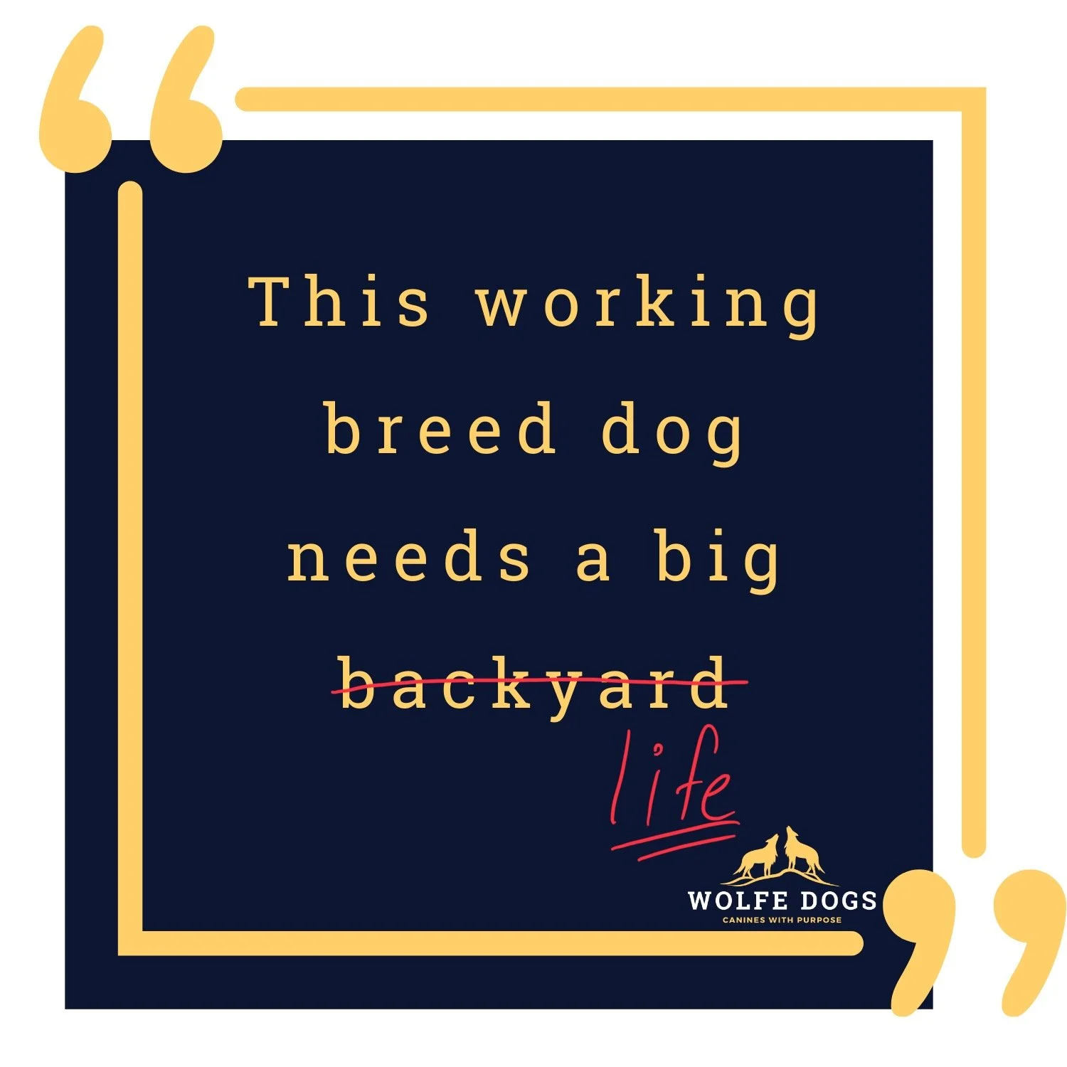 The Big Backyard Myth