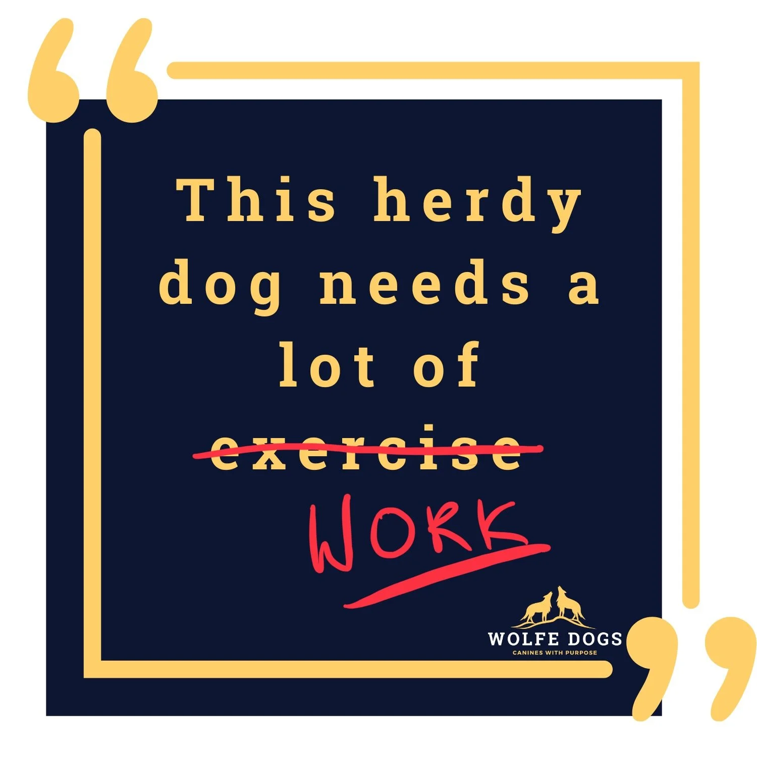 This Herdy Dog Needs Work, Not Exercise