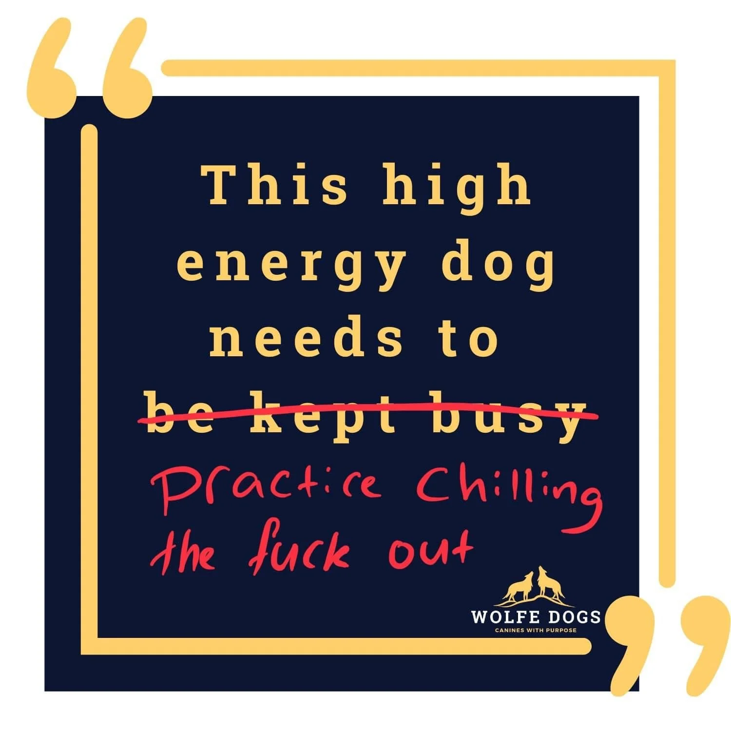 This High Energy Dog Needs to Practice Chilling the Fuck Out