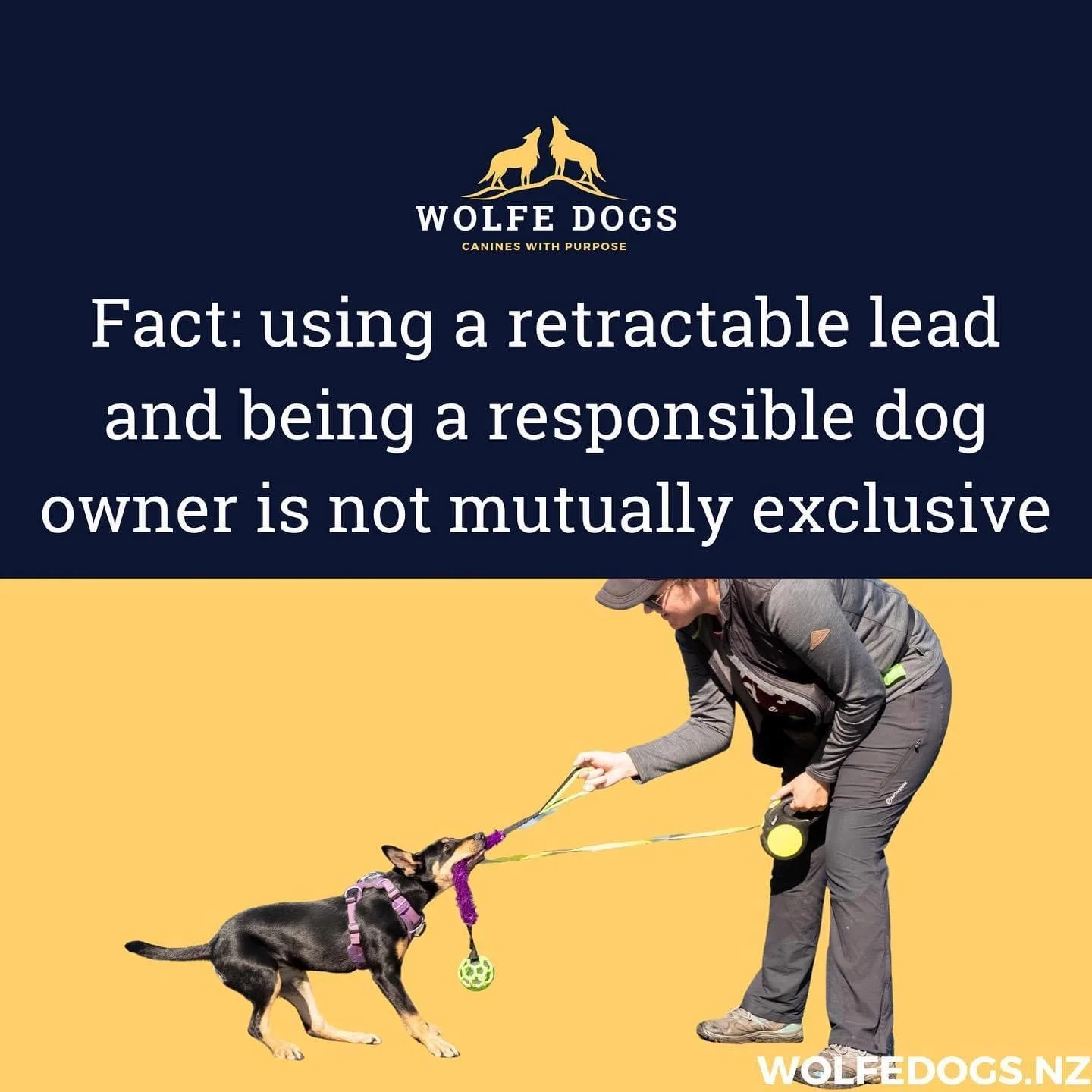 Retractable Leads are not the devils tool