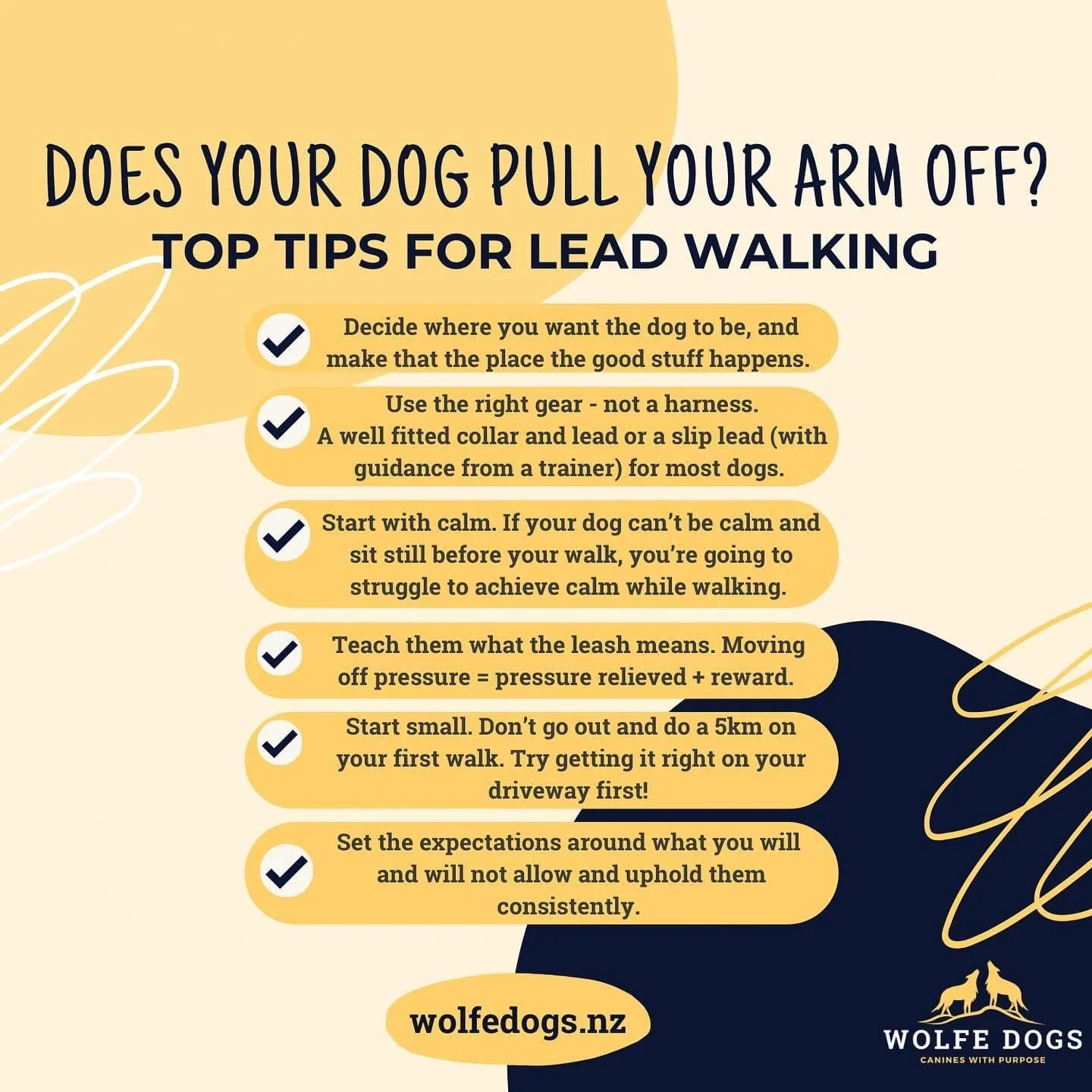 Tips for Loose Lead Walking