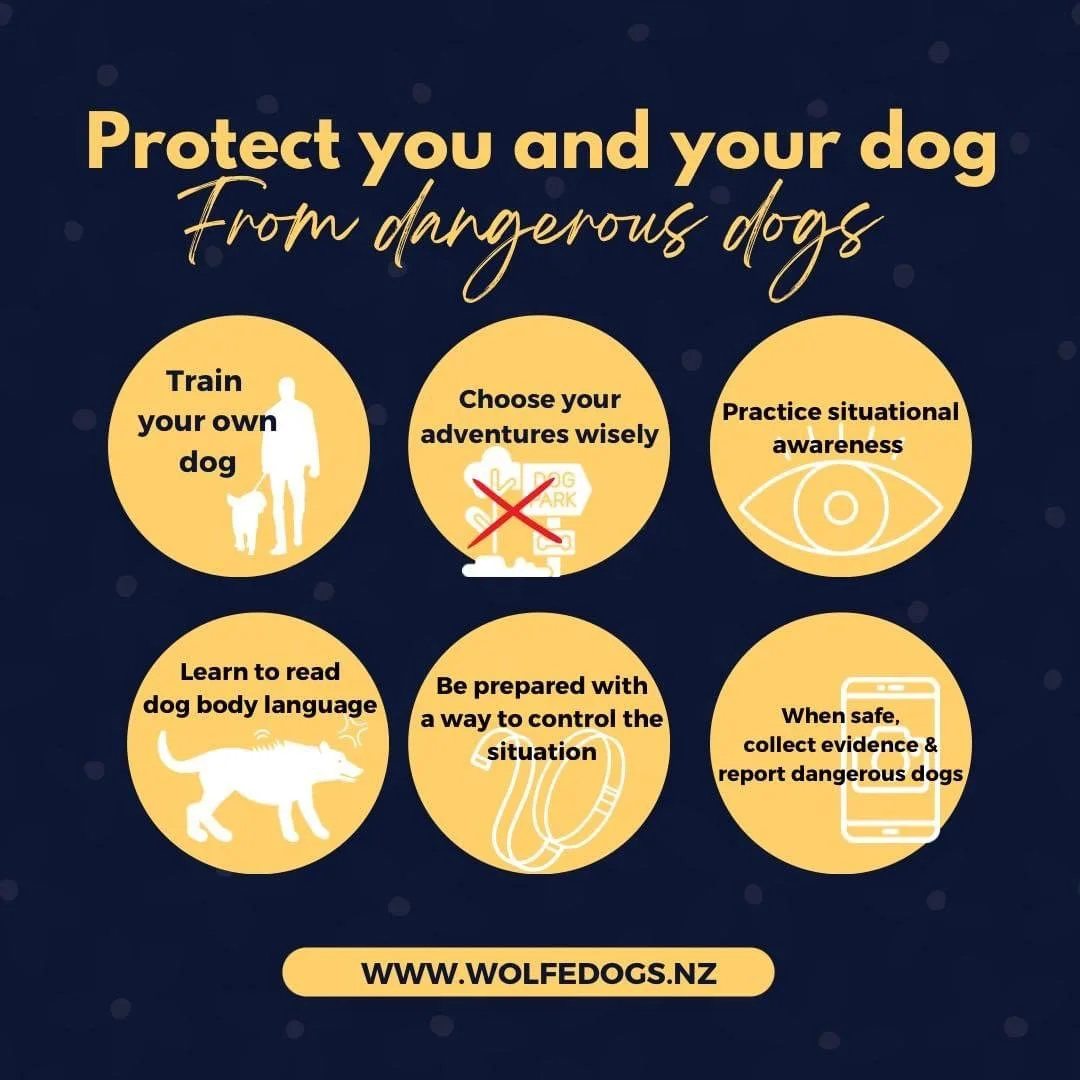 Protecting you and your dog from dangerous dogs on walks