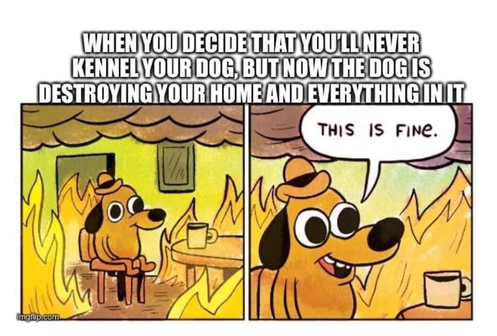 How do I stop my dogs from destroying my stuff?