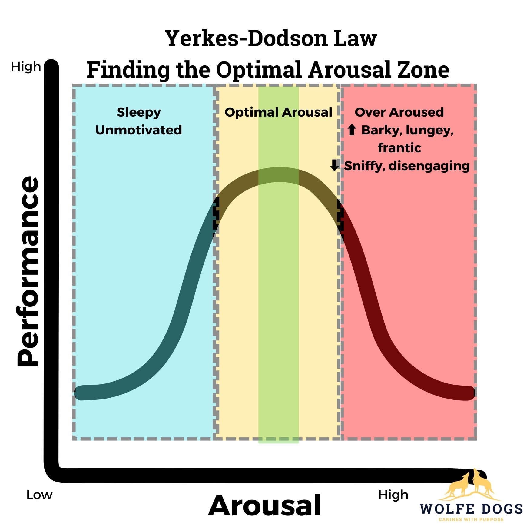 Finding the Optimal Arousal Zone for our dogs