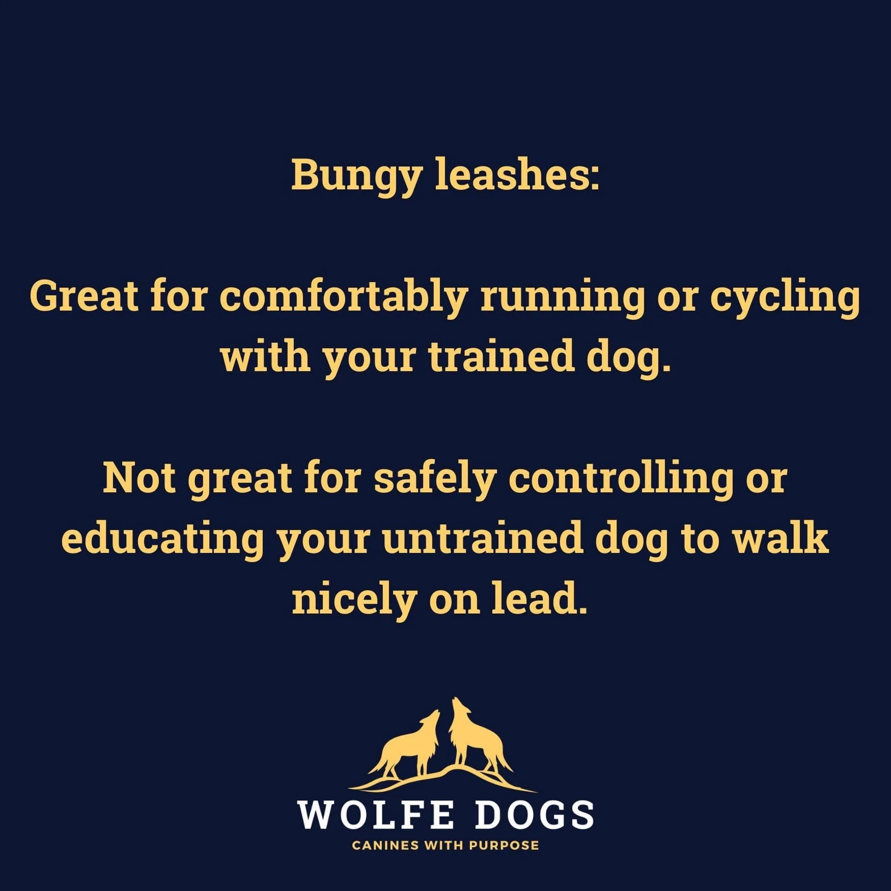 Bungy Leashes
